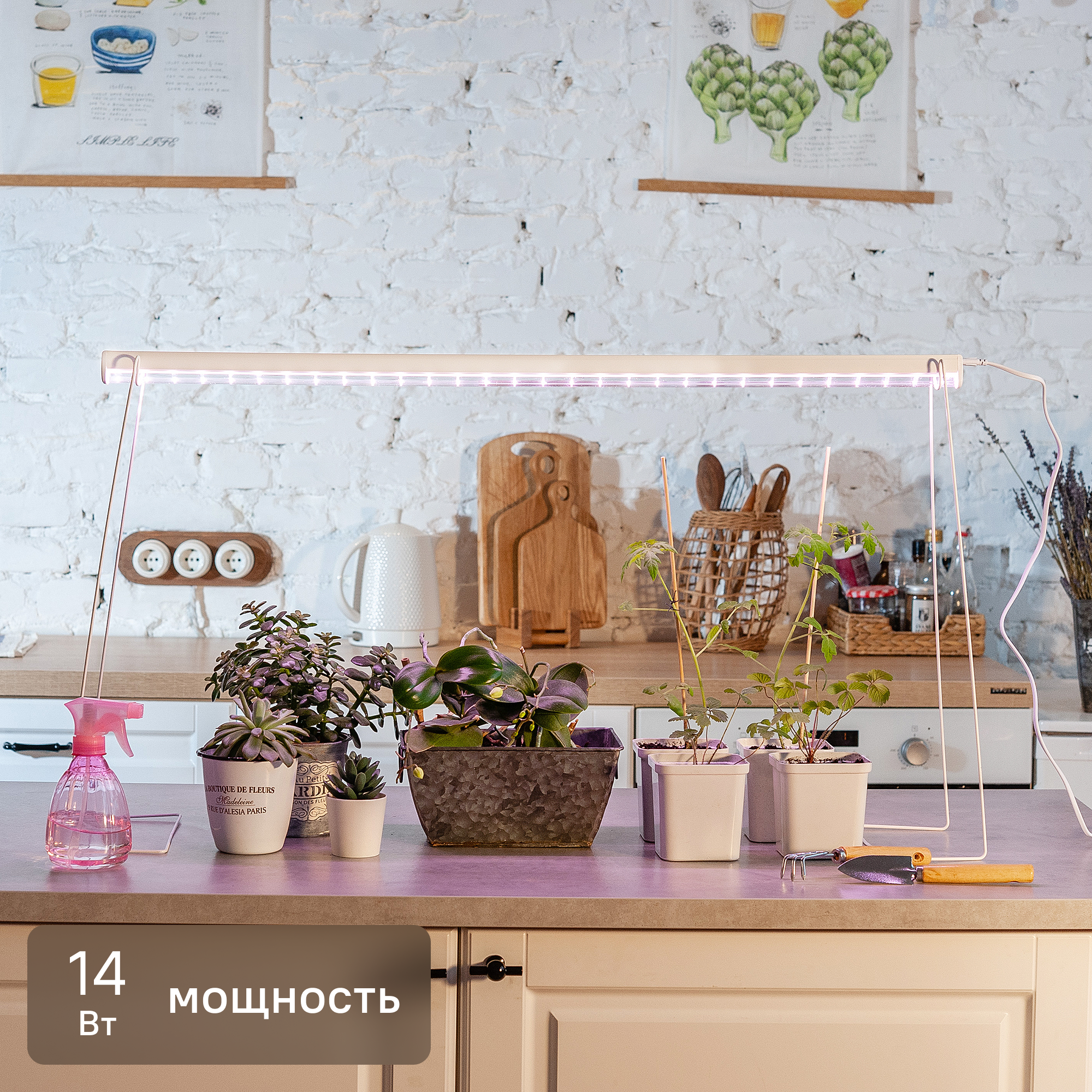 Изображение товара Фитосветильник линейный светодиодный Uniel 14 В IP20 870 мм красно-синий спектр розовый свет