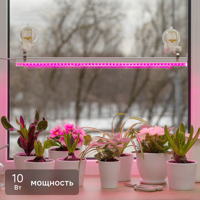 Изображение товара Фитосветильник линейный светодиодный Ritter Planta 56296 2 10Вт 572мм провод 2м с выключателем на корпусе цвет белый