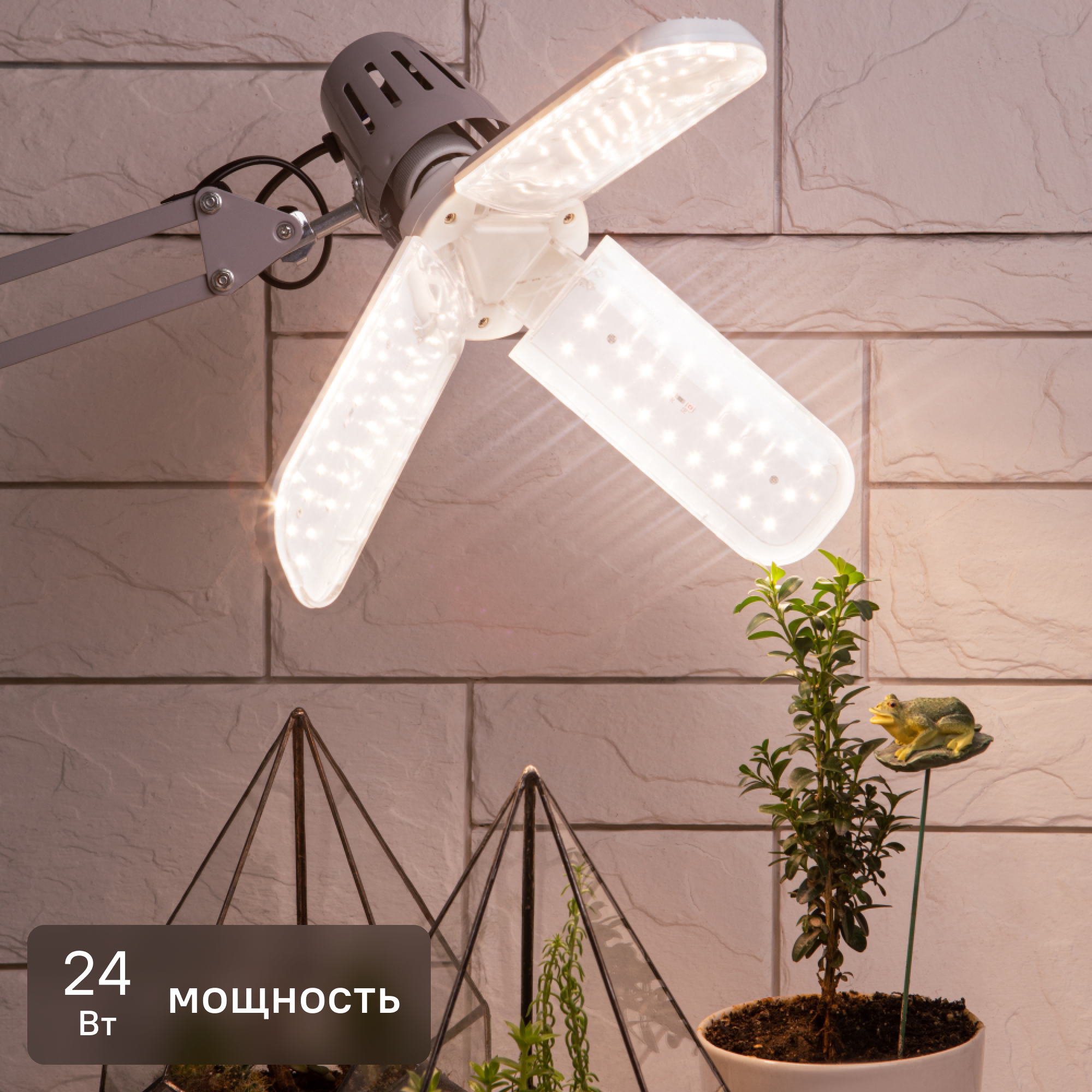 Изображение товара Фитолампа Эра Fito E27 24 Вт для комнатных растений