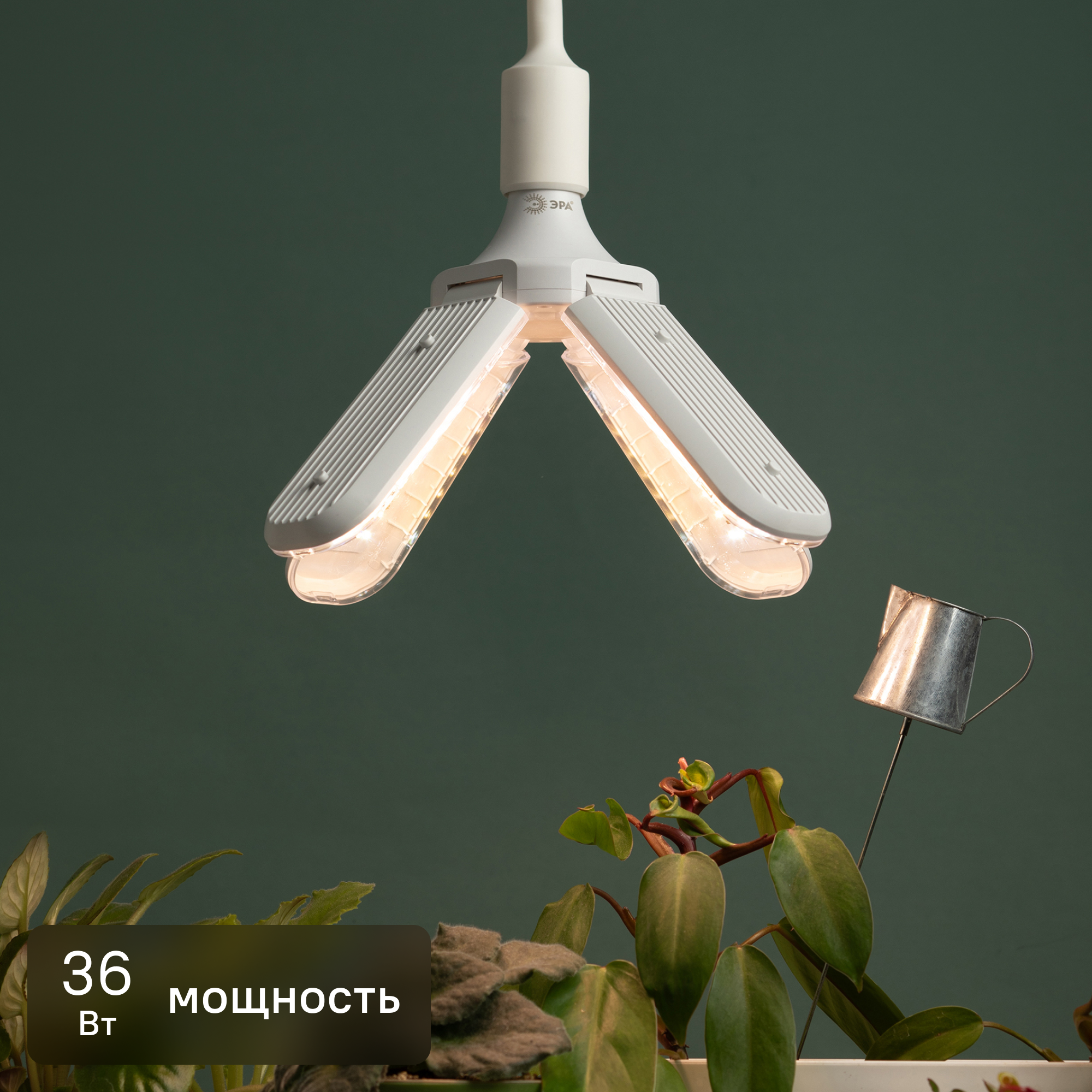 Изображение товара Светодиодная фитолампа Эра FITO-36W-RA90-E27-FOLD для растений и аквариумов