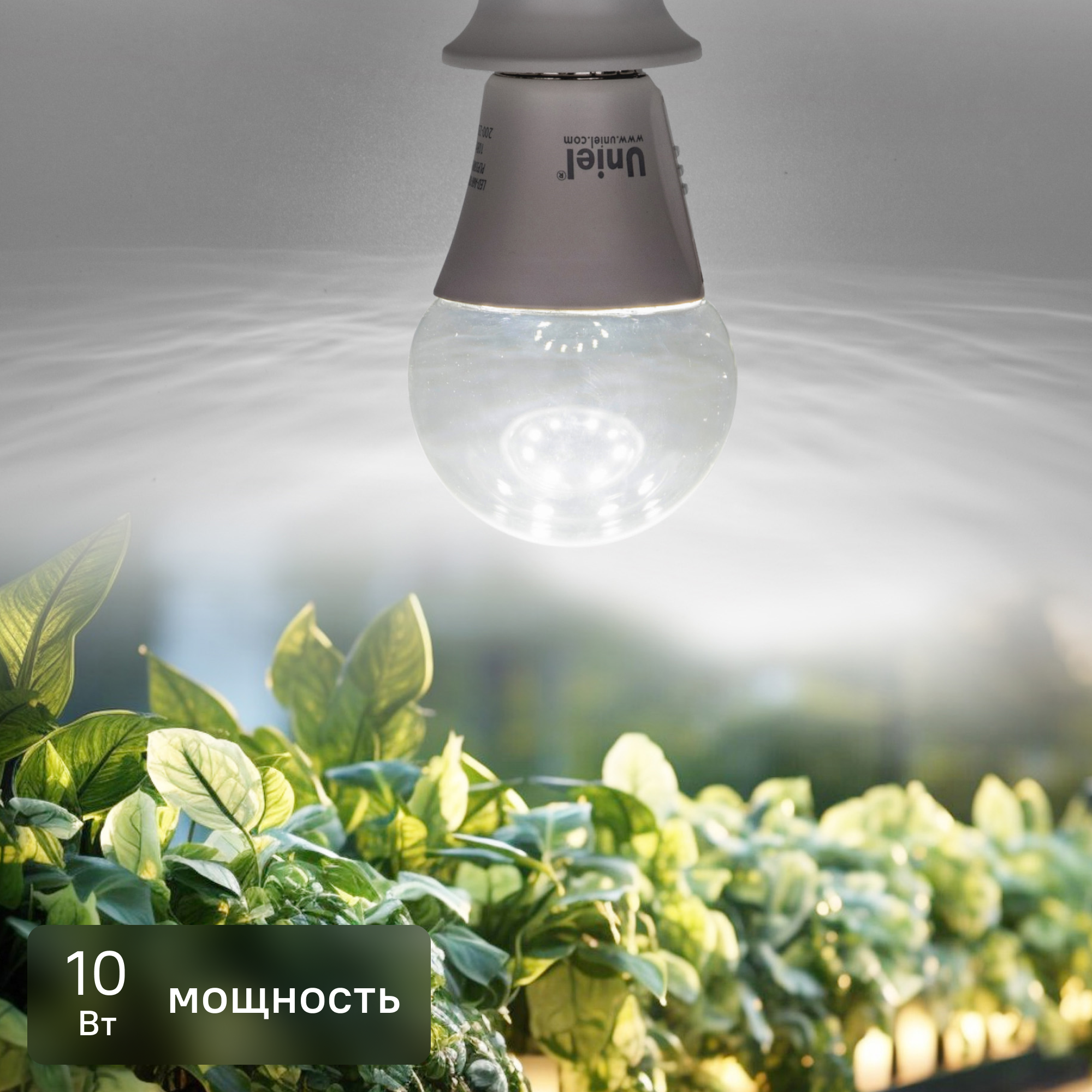 Фитолампа светодиодная Uniel E27 10 Вт груша нейтральный белый свет для растений