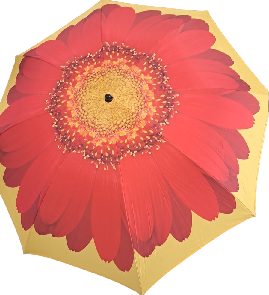 Изображение товара Зонт пляжный CHINA DANS J2018014-2 200x200 см красный