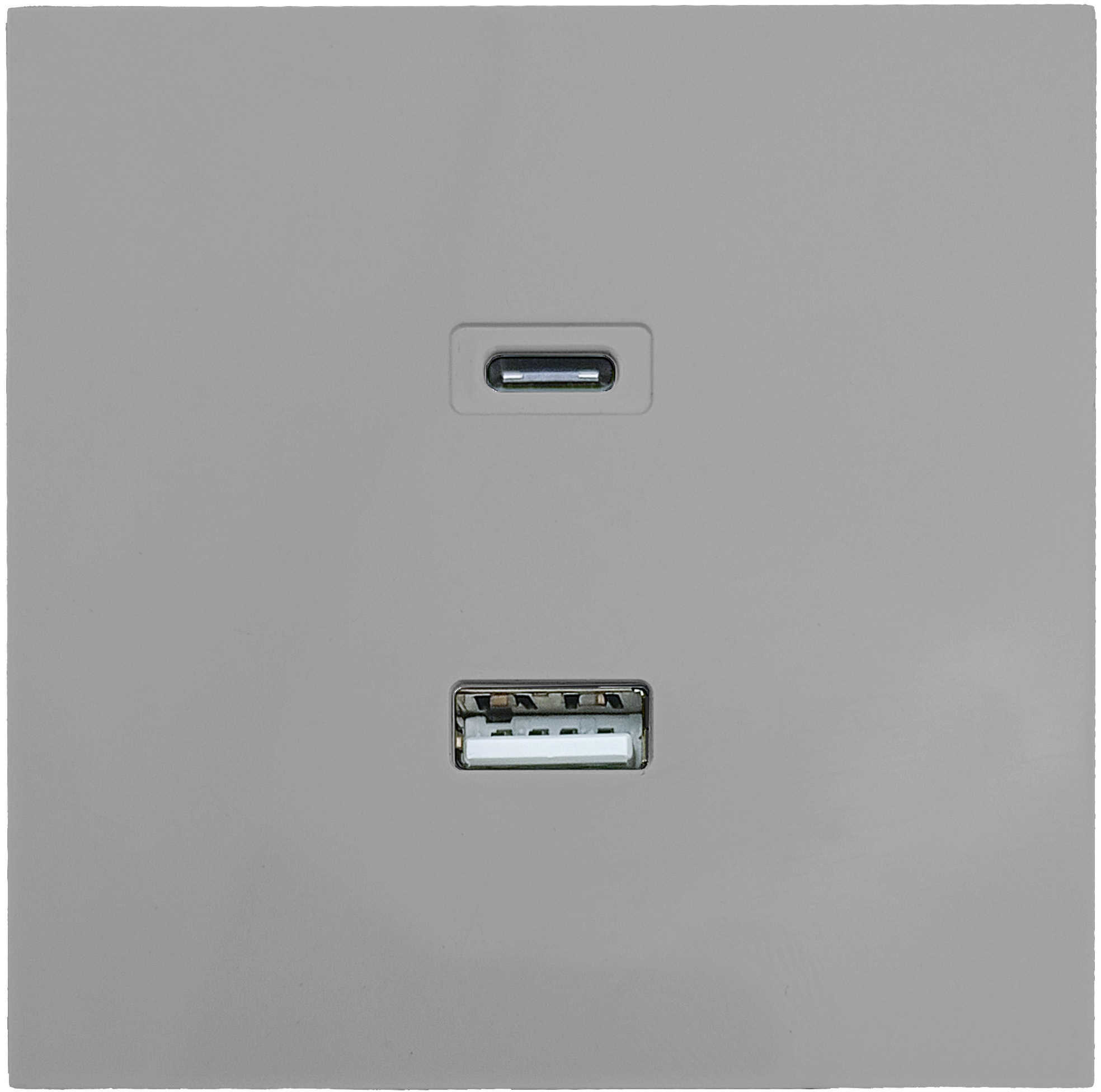 Изображение товара Встраиваемая розетка Lezard Zima с USB портами IP20 серый матовый