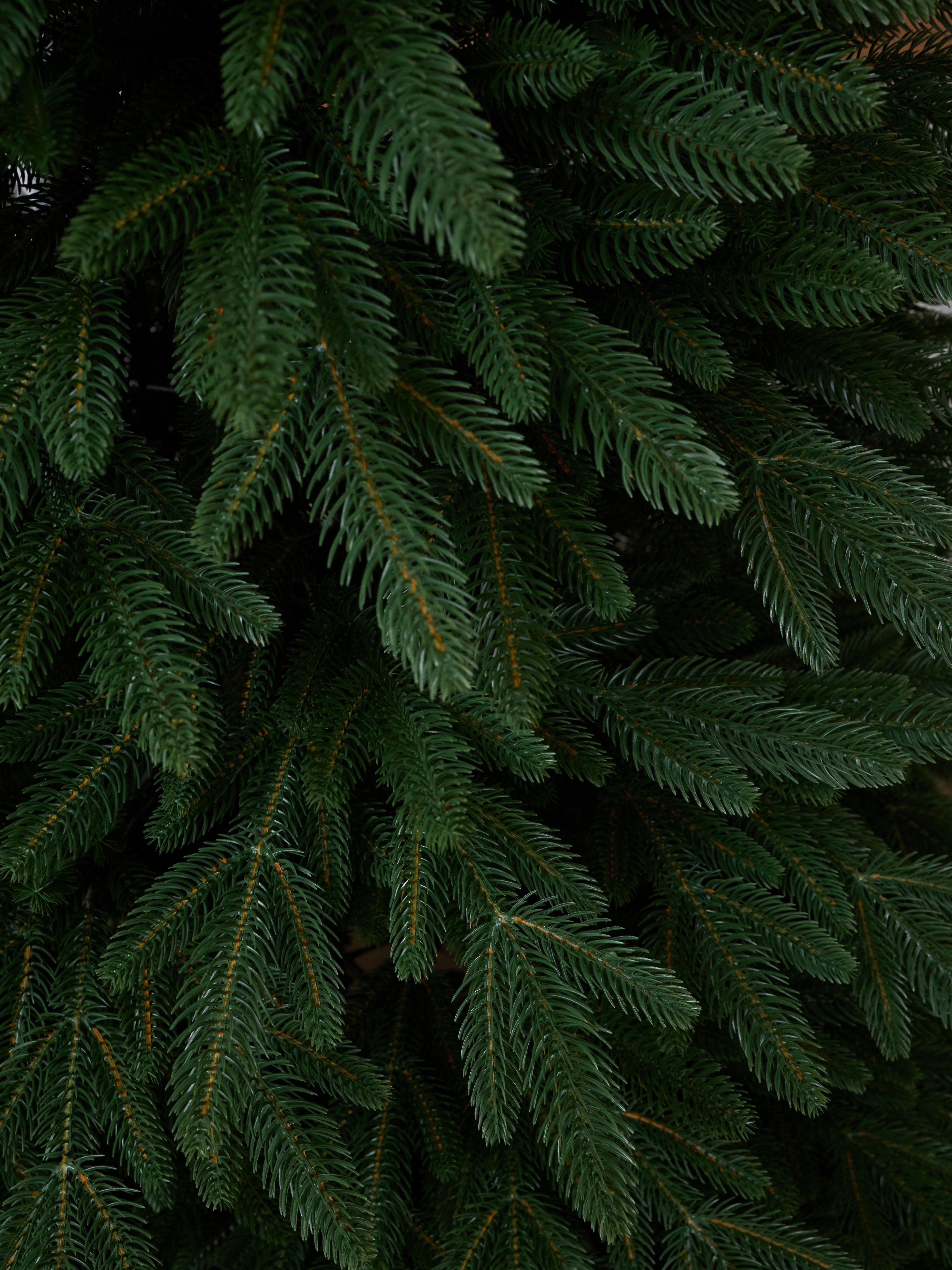 Изображение товара Искусственная елка Max christmas ЕЛРМ 30 Романовская 300 см