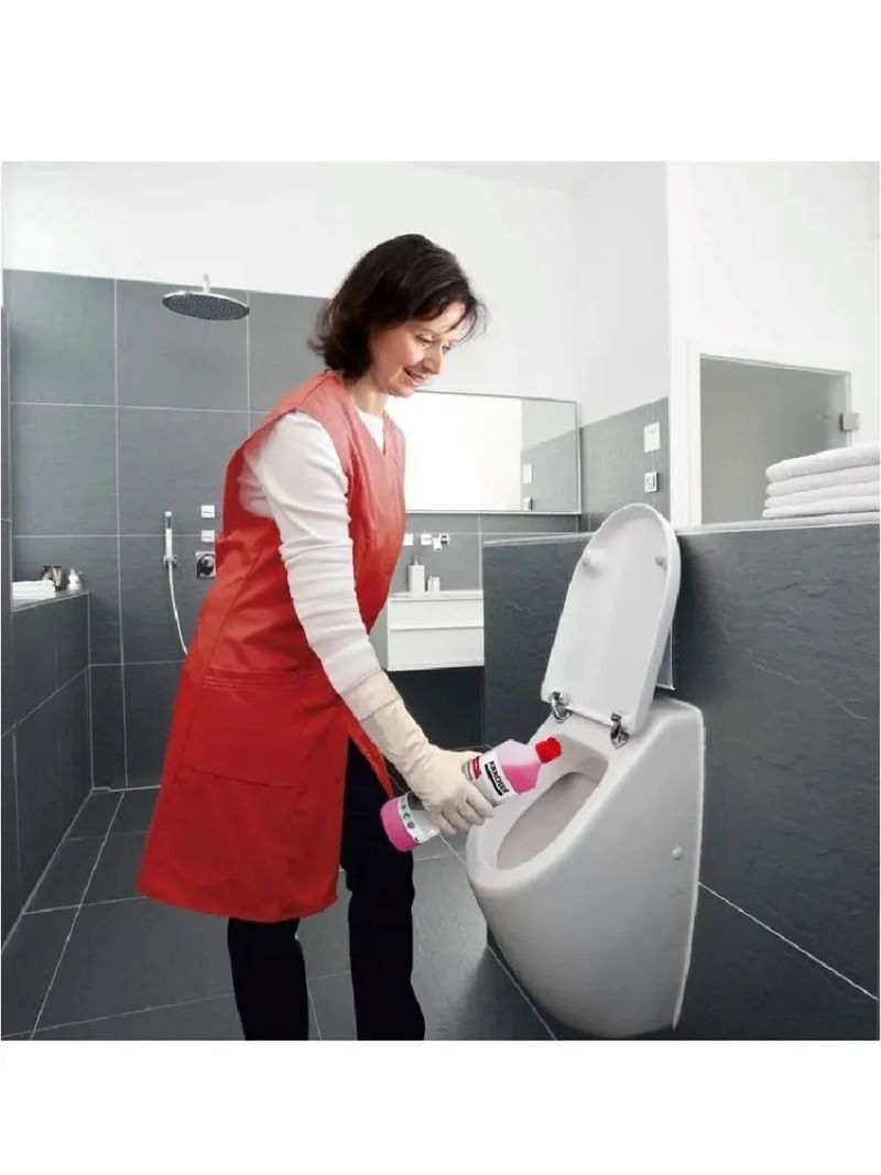 Изображение товара Чистящее средство для санузлов Karcher SanitPro CA 10 C eco!perform 6.295-677.0 концентрат 1 л
