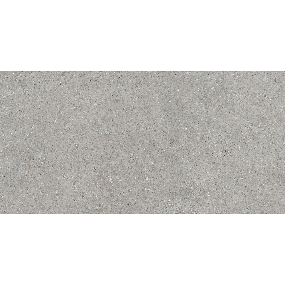 Изображение товара DUNA Ceppo 60x120 см серый керамогранит