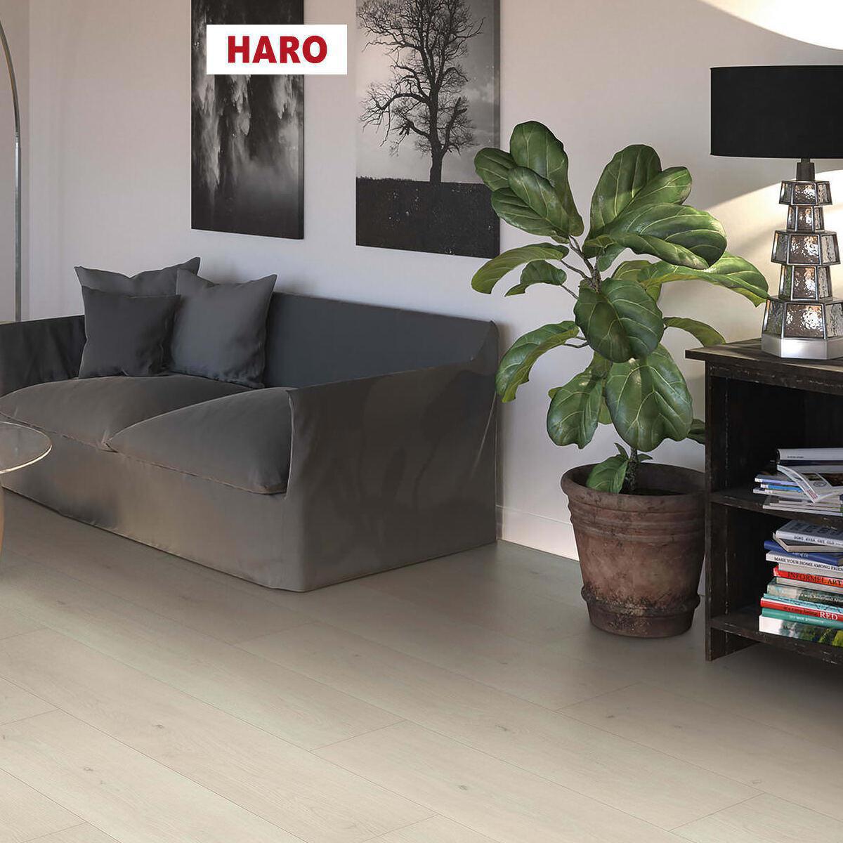 Изображение товара Ламинат Haro Дуб Эмилия белый 32 класс 8 мм с фаской 2.49 м² Германия