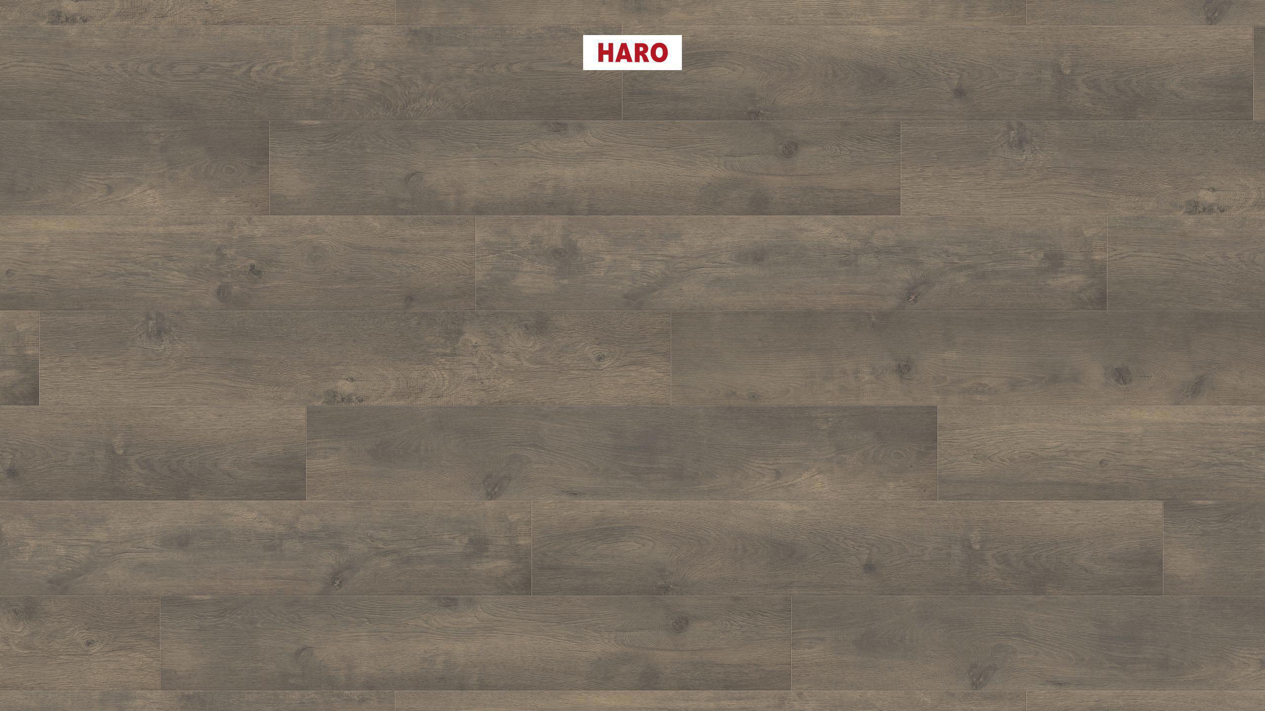Изображение товара Ламинат Haro Дуб Бергамо Карбон 32 класс 8 мм