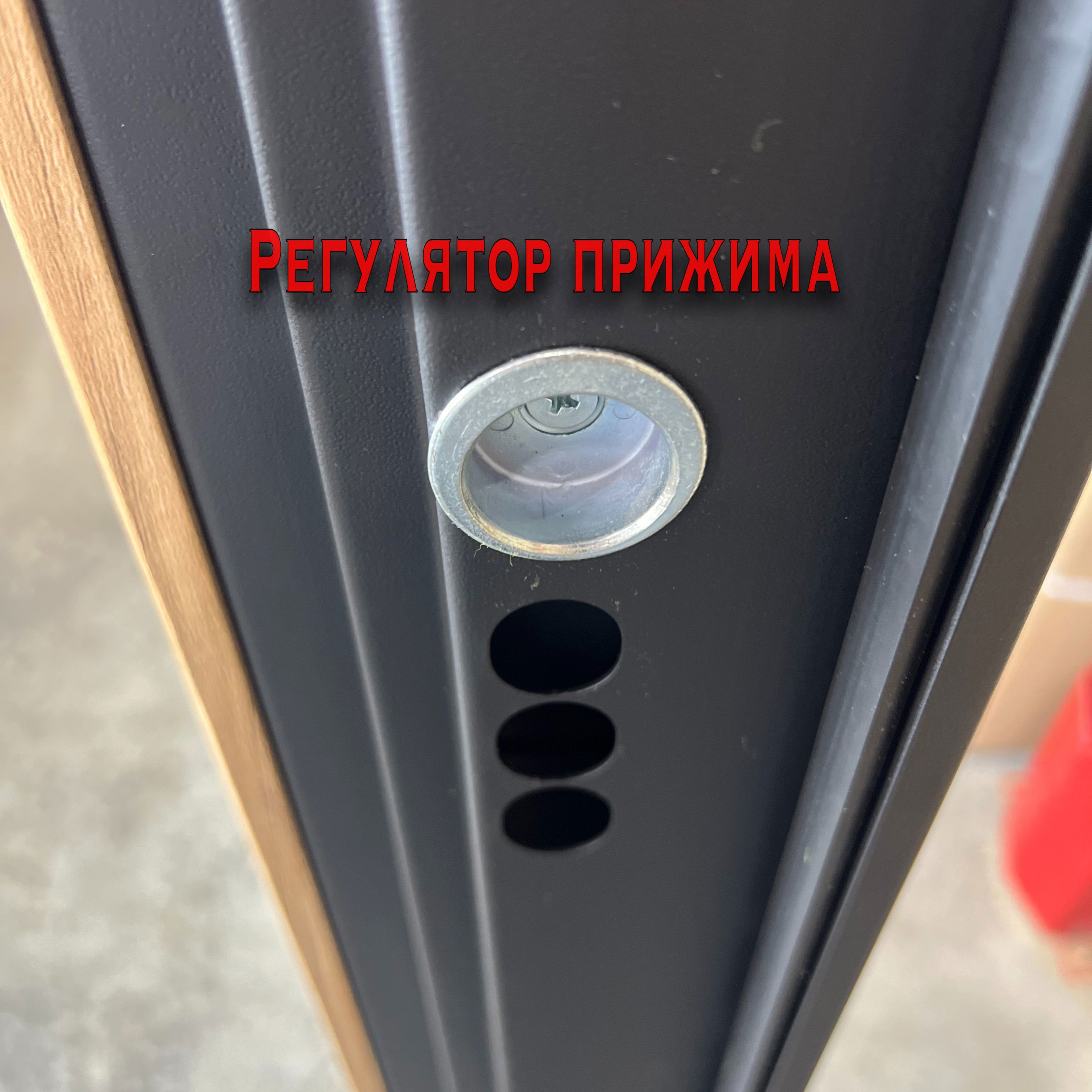 Изображение товара Входная дверь Diva 77 правый 205x96см цвет дуб натуральный/черный/н10 софт шампань