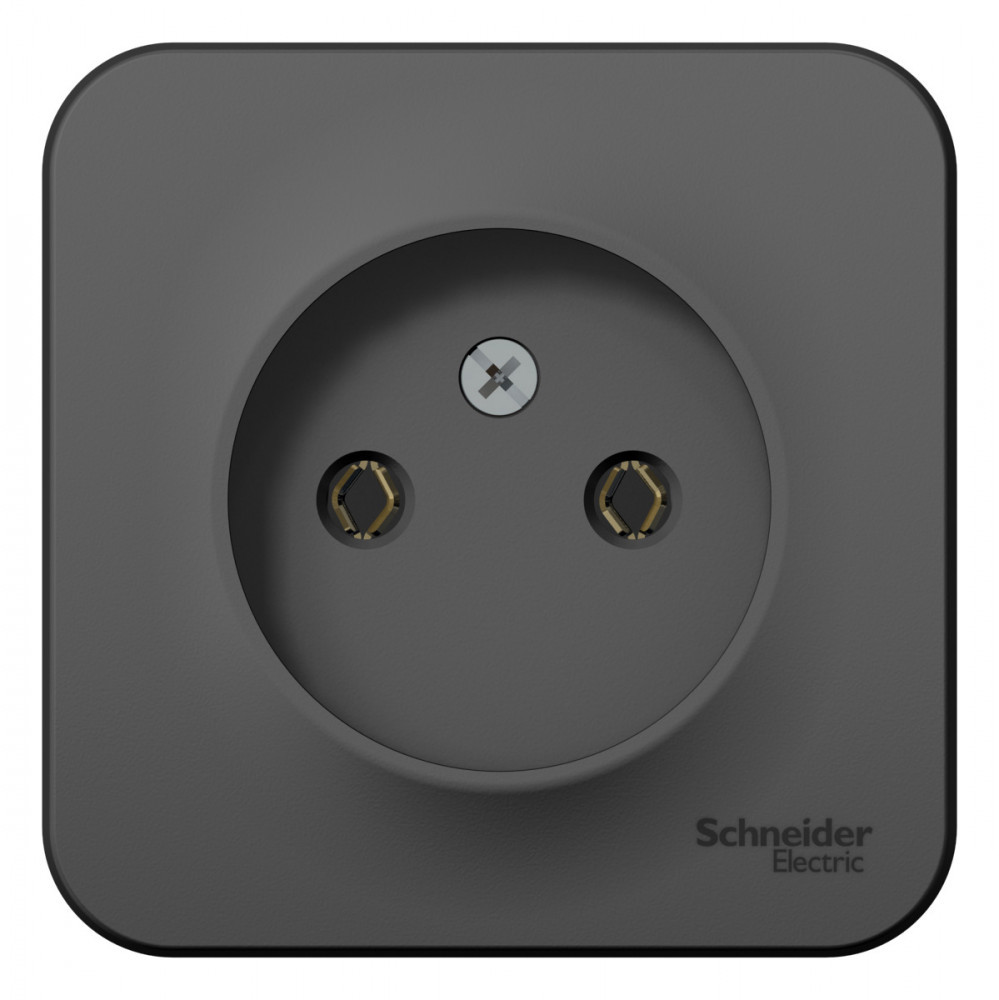 Изображение товара Розетка накладная Systeme Electric Blanca BLNRA000116 цвет антрацит