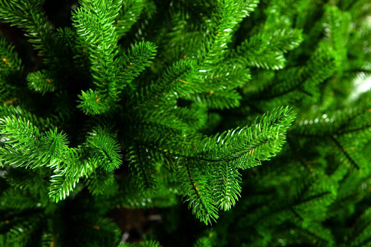 Изображение товара Ель новогодняя искусственная Crystal trees KP25150 Прованс 150 см
