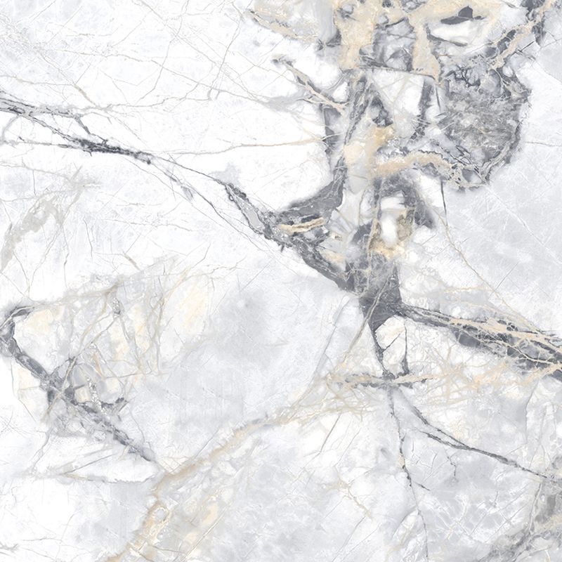 Изображение товара Керамогранит Geotiles Borgia Blanco 60x60 см для интерьера