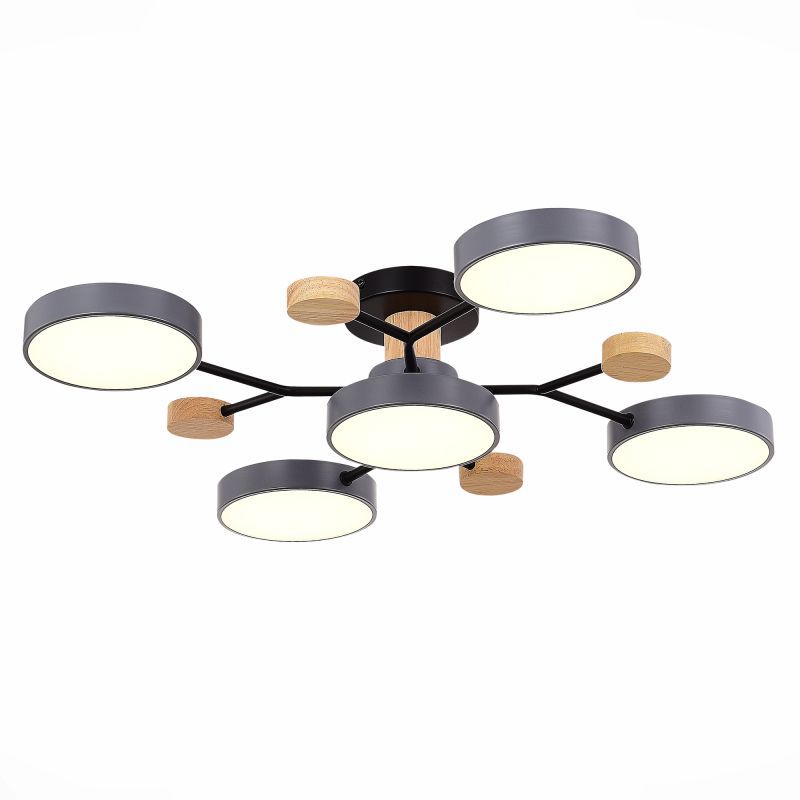 Изображение товара Люстра на штанге светодиодная Evoluce Faema sle6006-702-05 21 м² регулируемый белый свет серый сере