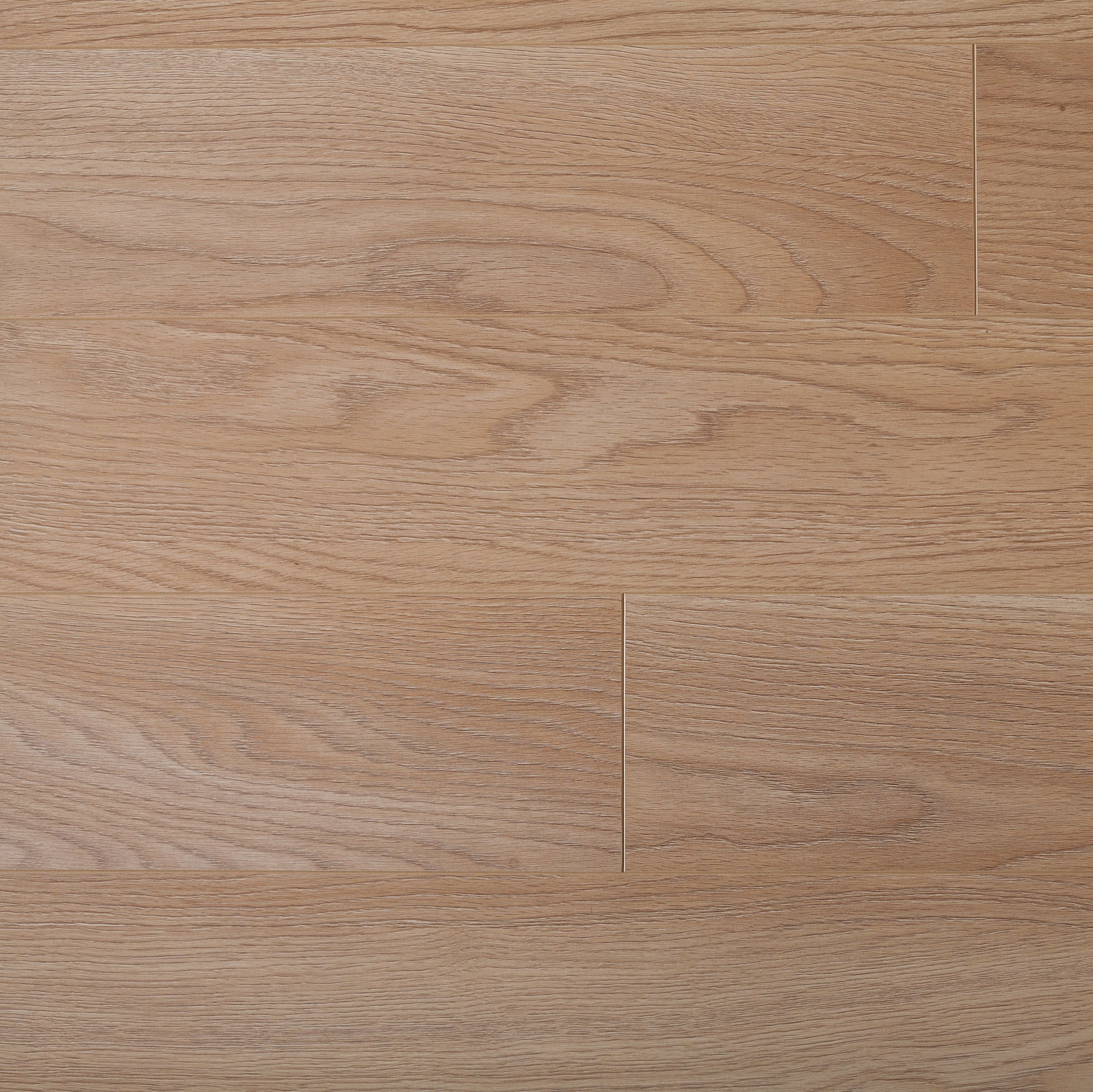 Изображение товара Ламинат Classen Discovery Verden Oak Snow 10 мм 4 фаски 20 лет гарантии