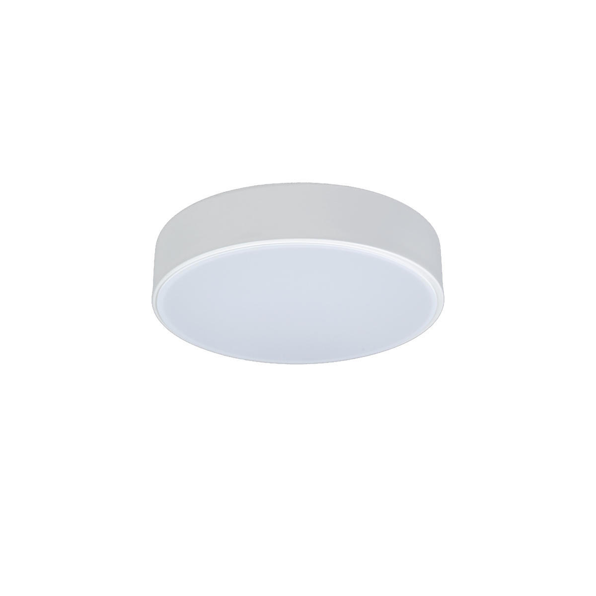 Изображение товара Светильник настенно-потолочный светодиодный Loft it Axel 2.6 м² нейтральный белый свет цвет белый