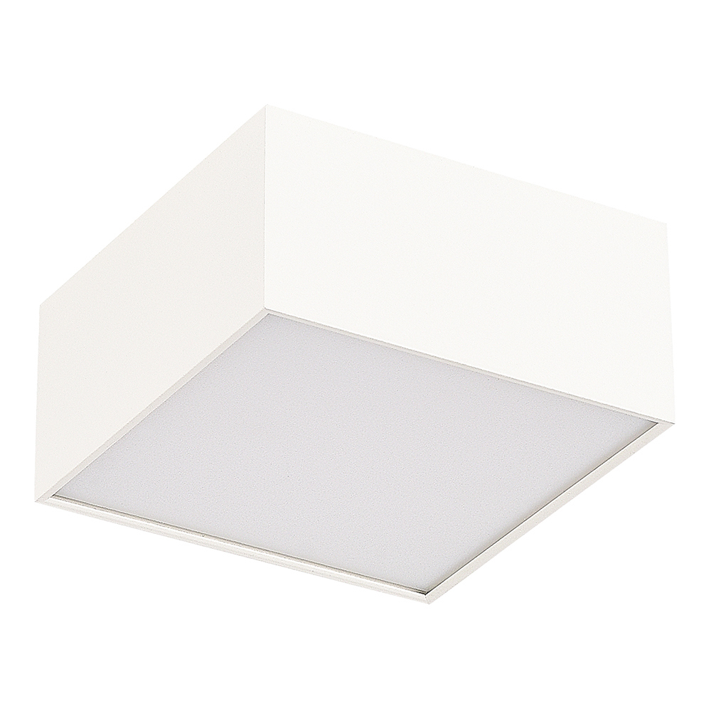 Изображение товара Светильник настенно-потолочный светодиодный St Luce ST608.542.12 белый