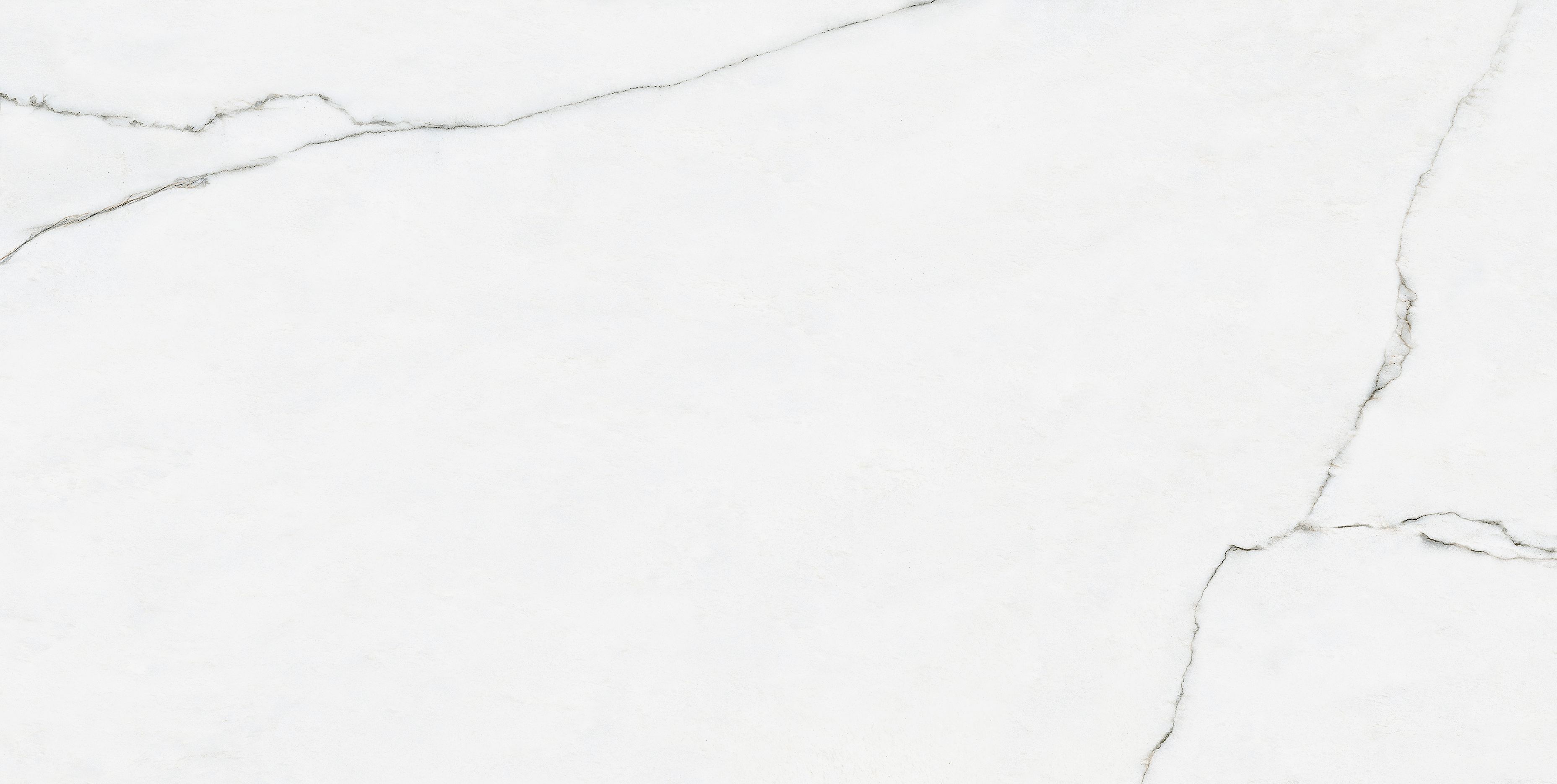 Изображение товара Керамогранит Prissmacer Bianco Mare 60x120 см белый с мраморным эффектом, коллекция BIANCO MARE