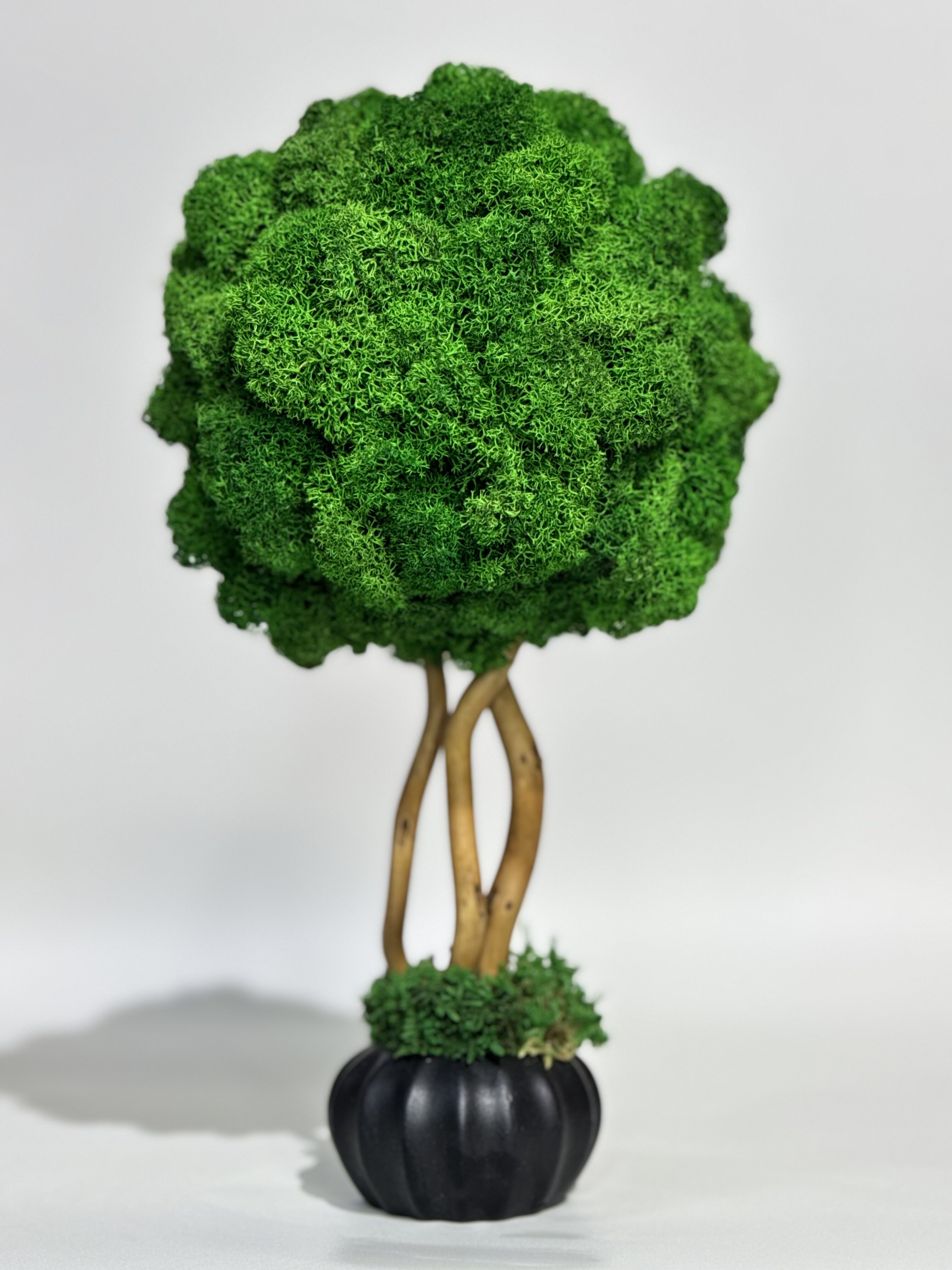 Изображение товара Изделие в гипсовом кашпо Floral Дерево 1шапка Ягель