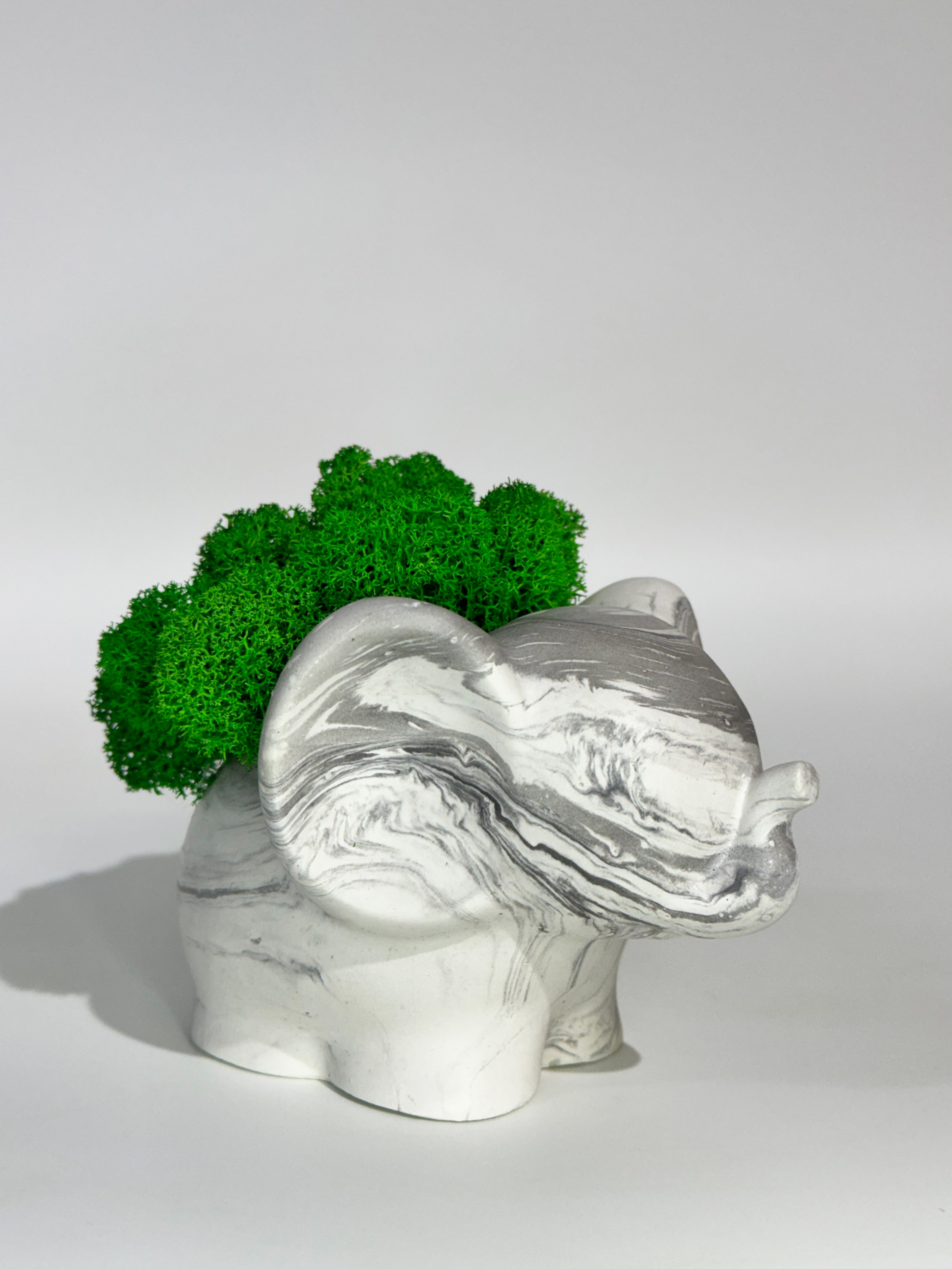 Изображение товара Кашпо гипсовое Floral Слон мраморный