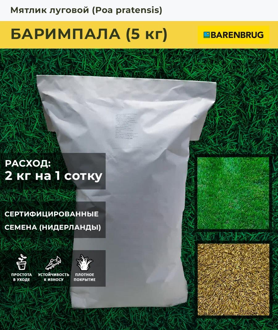 Изображение товара Семена газона Barenbrug Мятлик Луговой 5 кг для красиво газона и спортивных площадок
