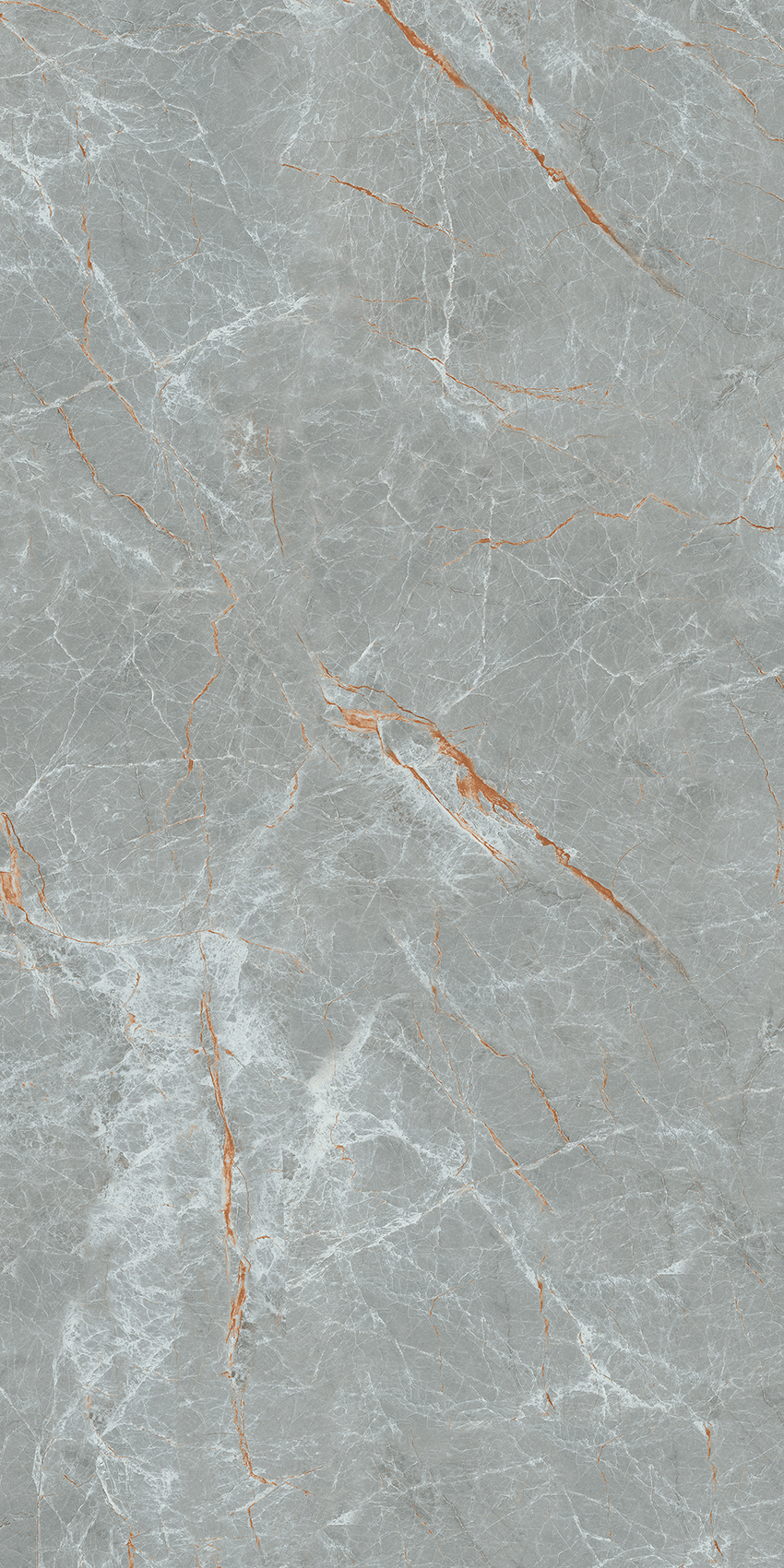 Изображение товара Керамогранит Forest 60x120 см серый глянцевый для внутренней и наружной отделки