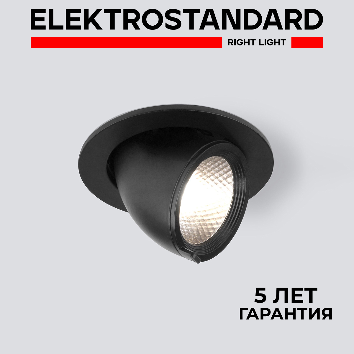 Изображение товара Встраиваемый светильник Elektrostandard 9918 LED 9W 4200K черный