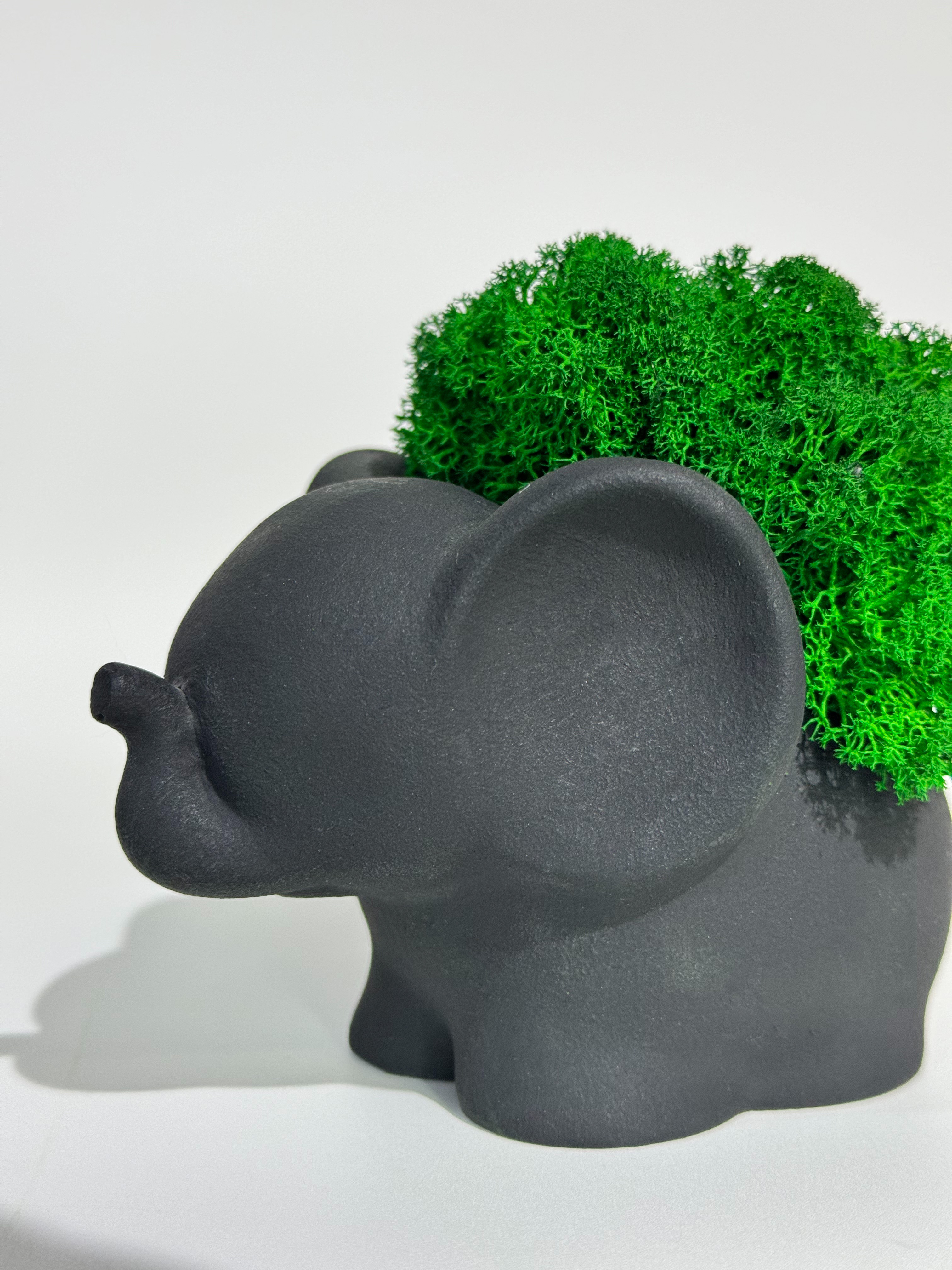 Изображение товара Кашпо гипсовое Floral Слон черный