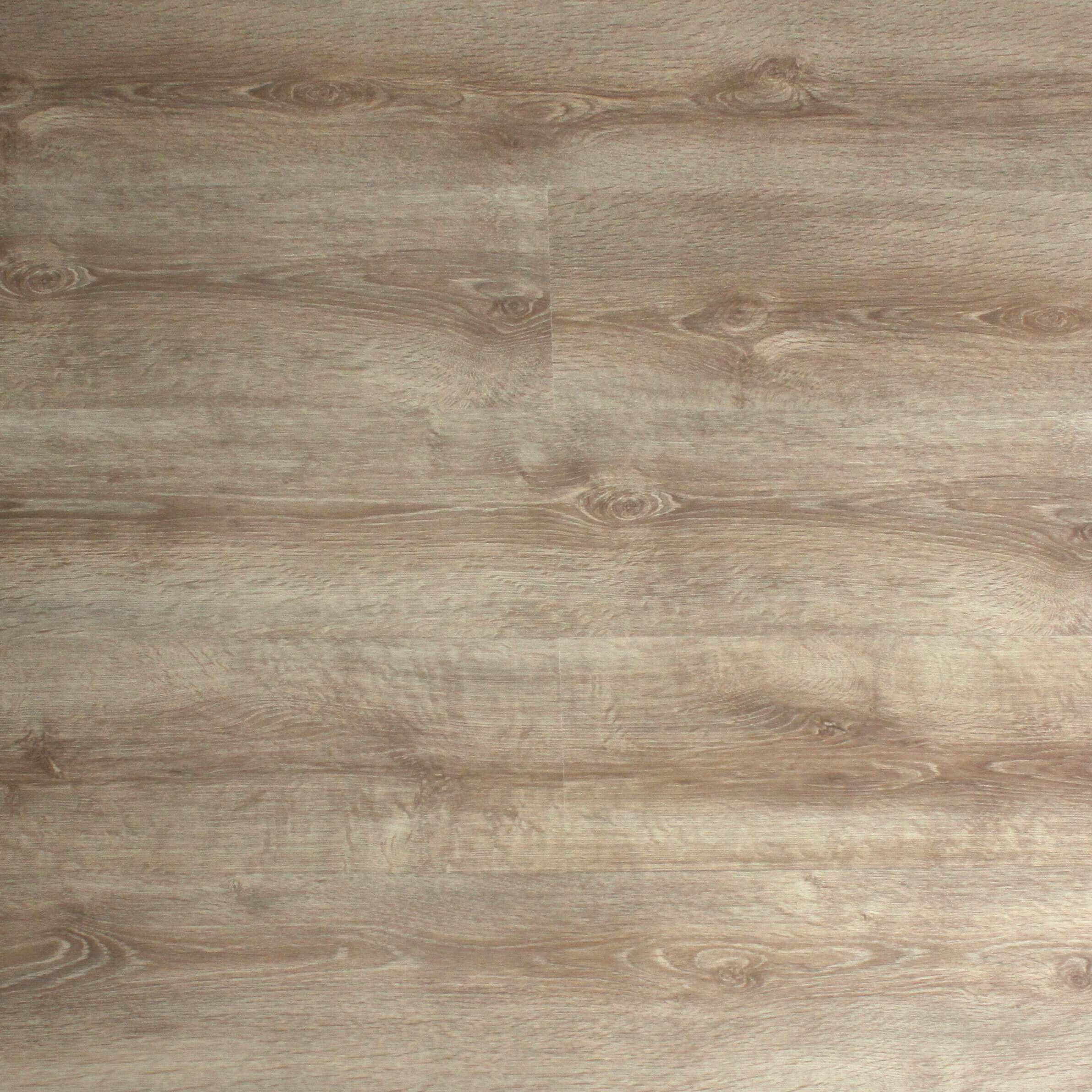 Изображение товара Ламинат WoodStyle Vega Дуб Билтмор 32 класс толщина 8 мм 2.22 м², цена за упаковку