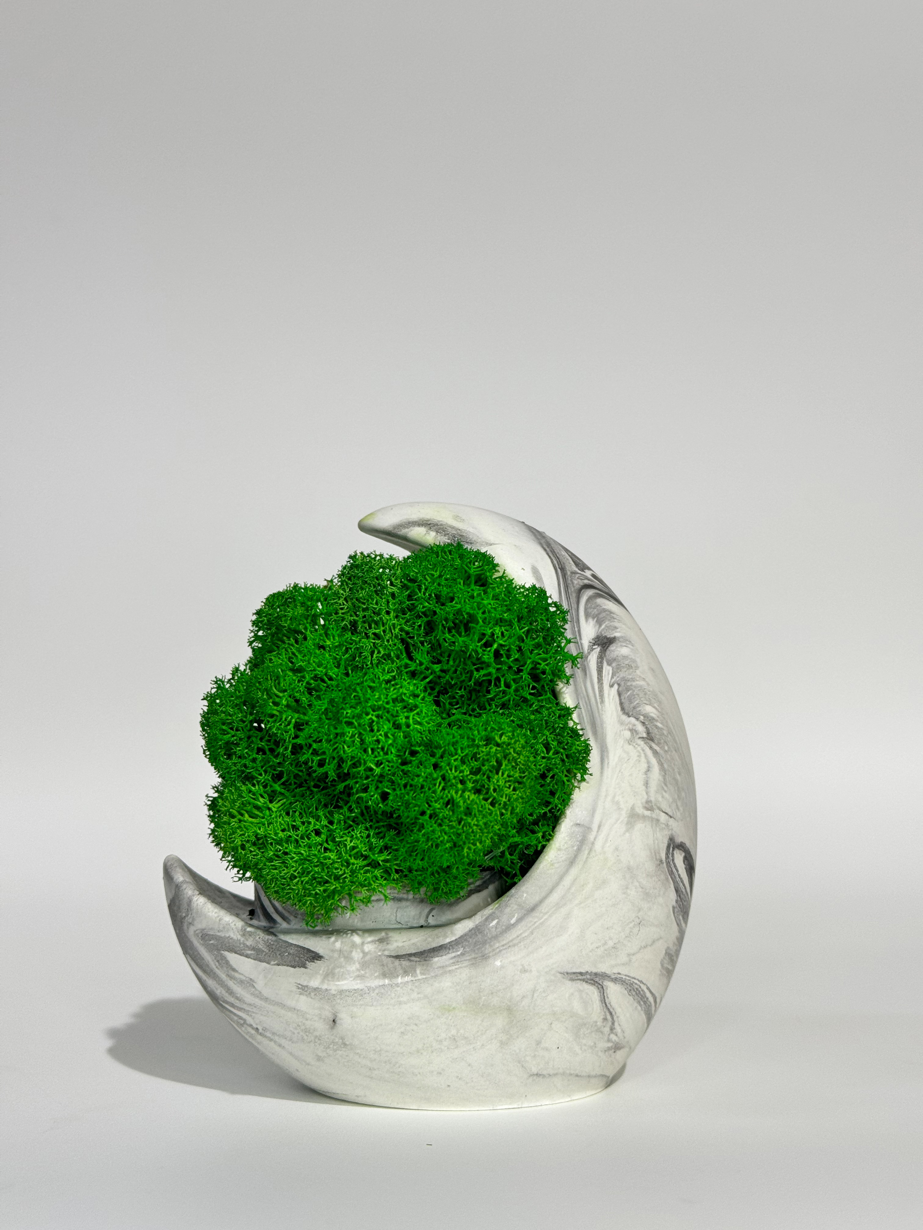 Изображение товара Кашпо гипсовое Floral Луна мраморная — мох, нет ухода