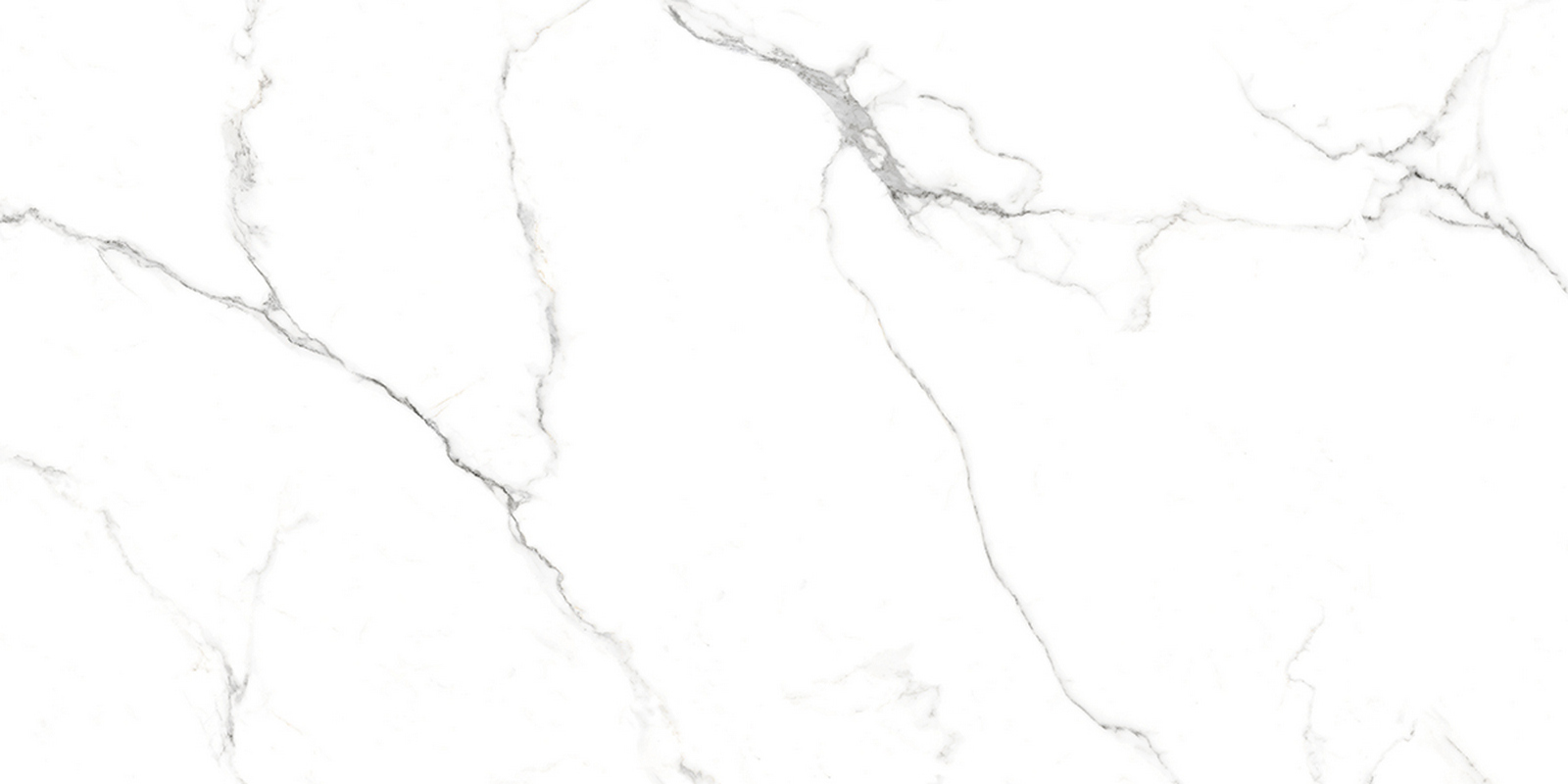 Изображение товара Керамогранит Absolut Gres AB 1124G 60x120 см белый эффект мрамора