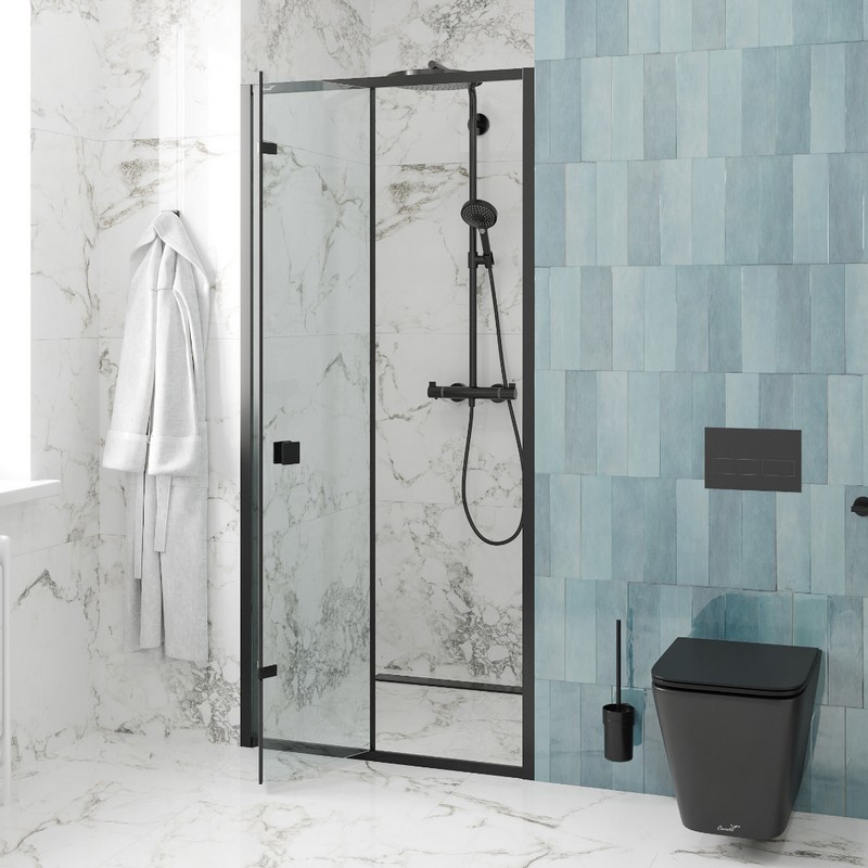 Изображение товара Душевая дверь в нишу Cerutti SPA BELLA D101B 100x195 см с черным профилем