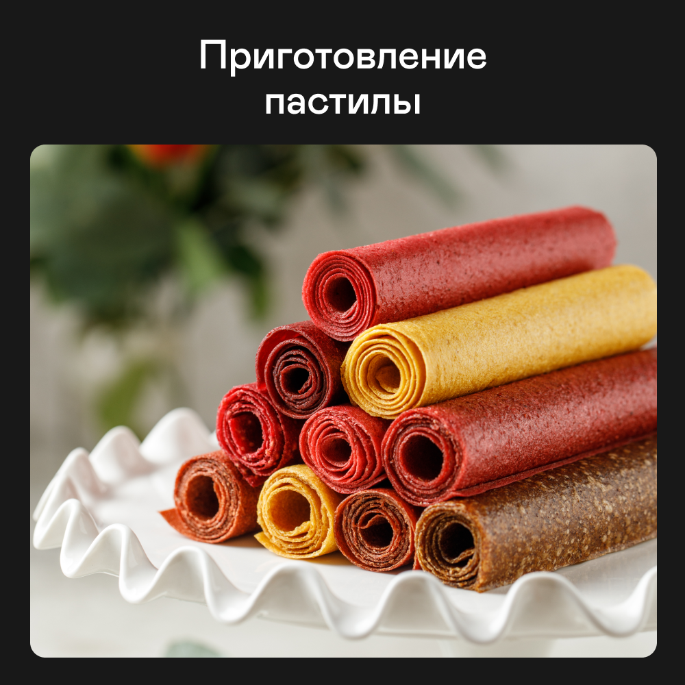 Изображение товара Электрическая сушилка GARLYN D-12 для овощей и фруктов, 10 уровней, сенсорное управление