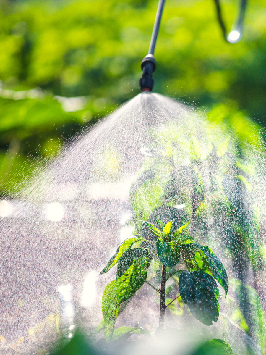 Изображение товара Опрыскиватель аккумуляторный Polyagro 7574113 5 л