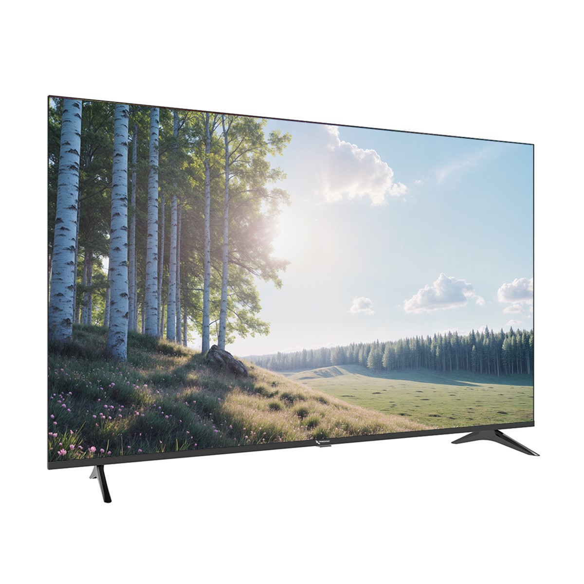 Изображение товара Телевизор Триколор P55QH701 55" QLED UHD 4K Smart TV с Dolby Digital