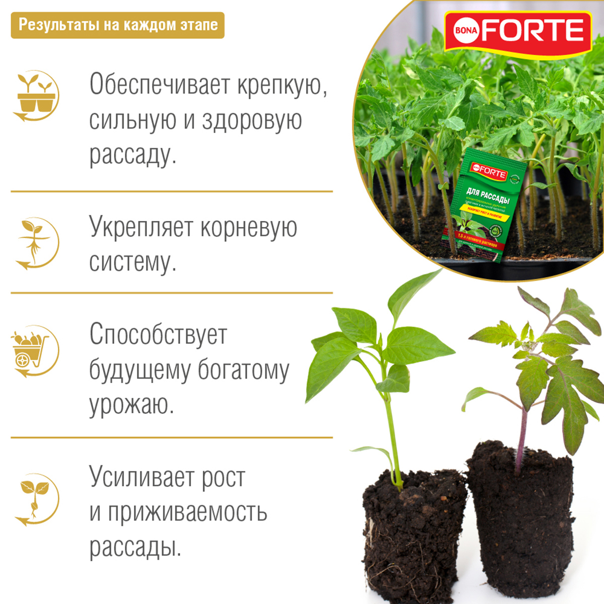Изображение товара Удобрение Жидкое Bona Forte 277195 для рассады 10 мл
