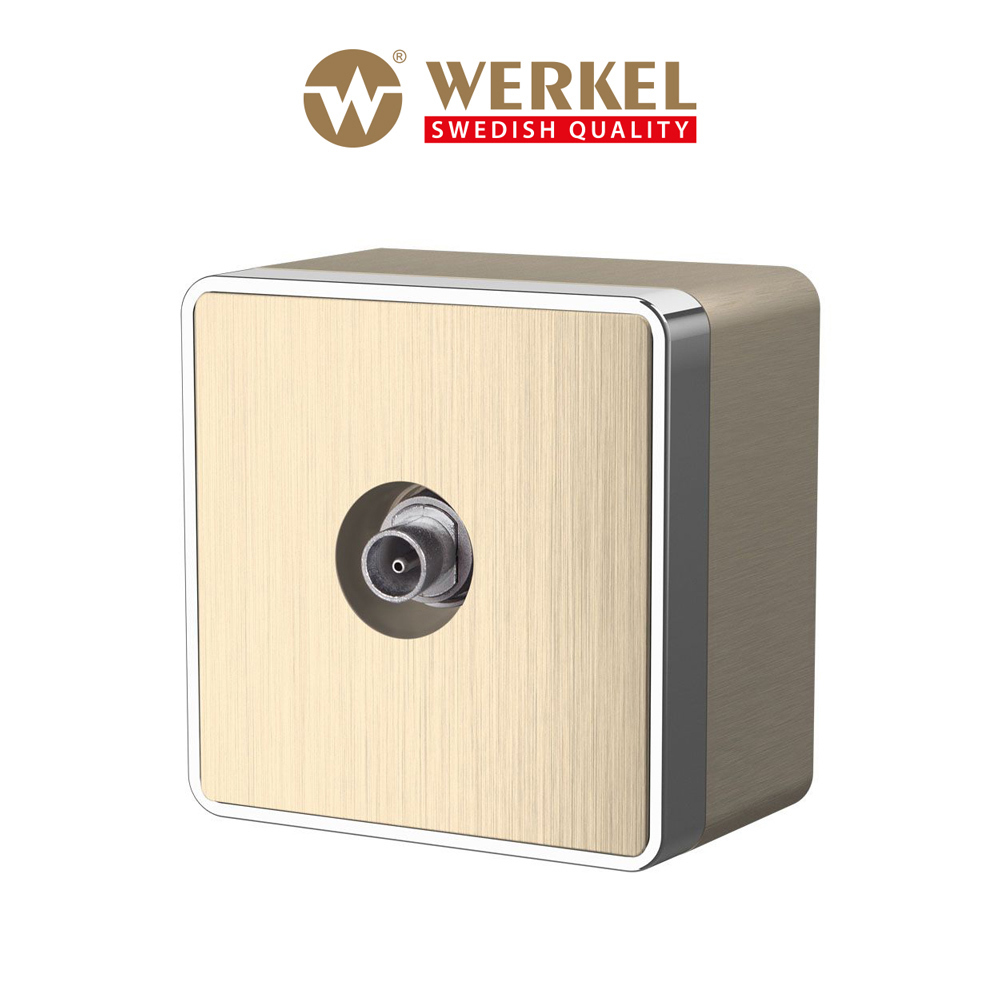Изображение товара ТВ-розетка оконечная накладная Werkel Gallant a051036 цвет шампань рифленый