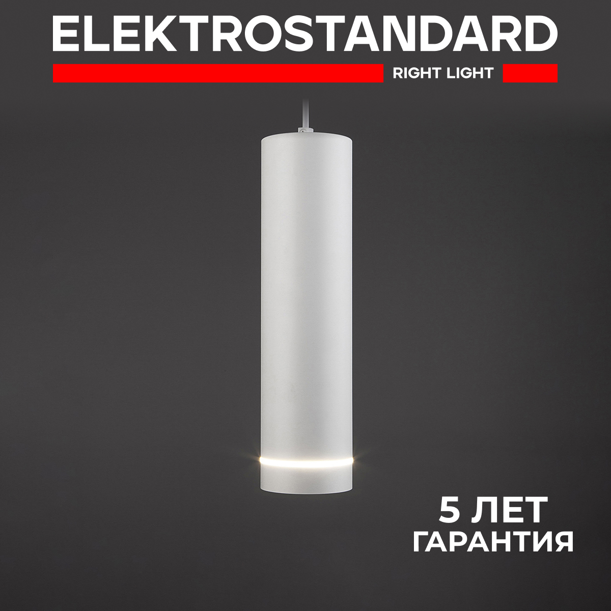 Изображение товара Подвесной светодиодный светильник Elektrostandard Topper Dlr023 белый 12 Вт 560 лм регулируемая выс