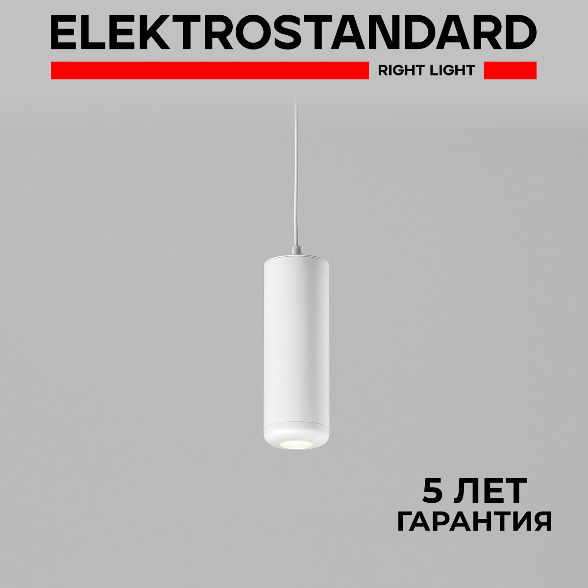 Изображение товара Подвесной светодиодный светильник Elektrostandard 50250 LED для натяжных потолков белый