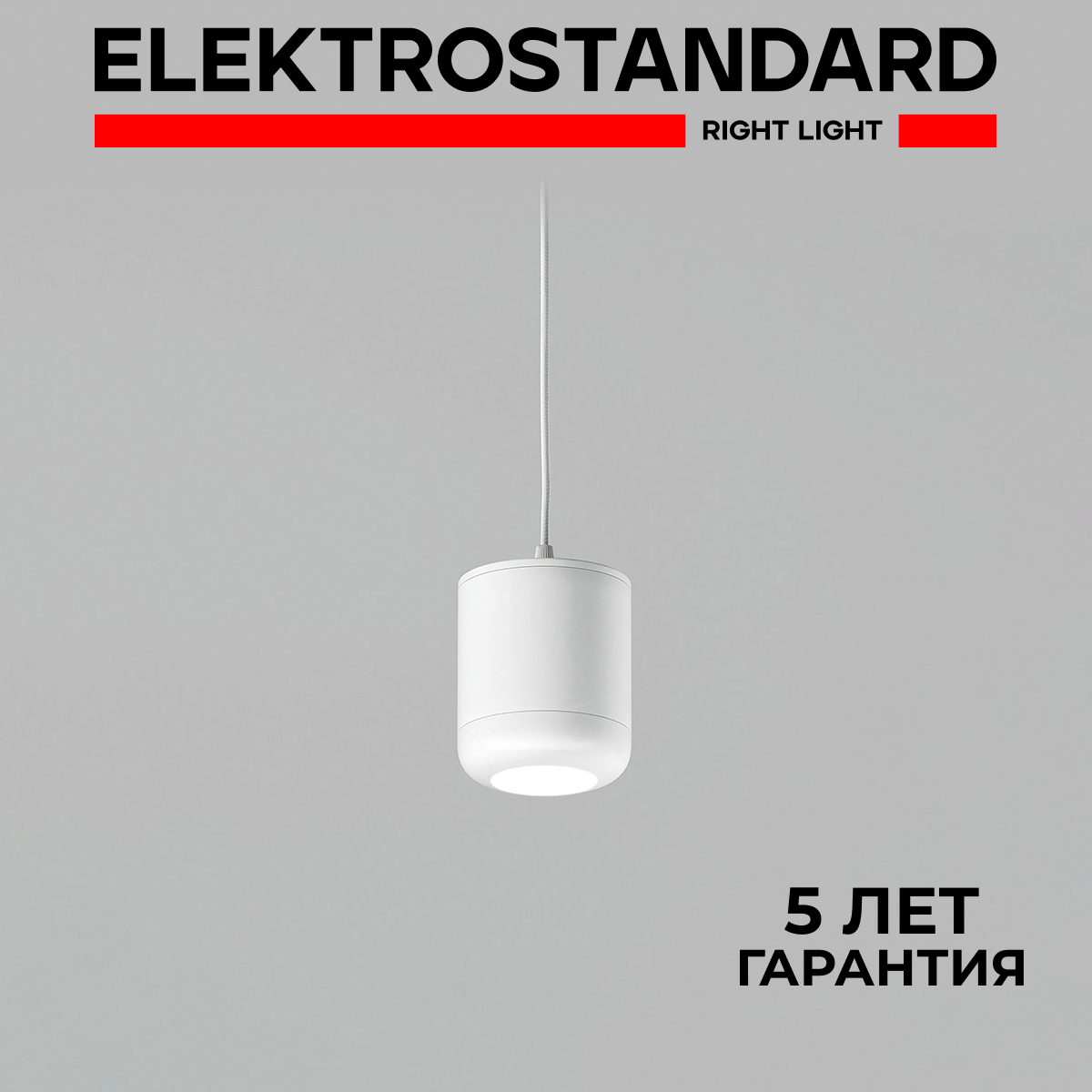 Изображение товара Подвесной LED светильник Elektrostandard 50249 15W белый для натяжных потолков