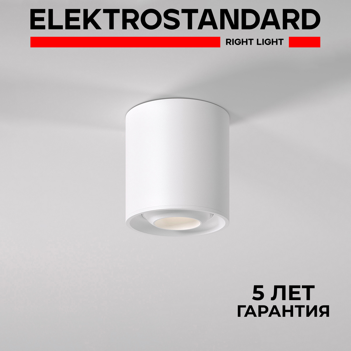 Изображение товара Светильник точечный накладной Elektrostandard 25041/LED Orsa 10W 650лм белый