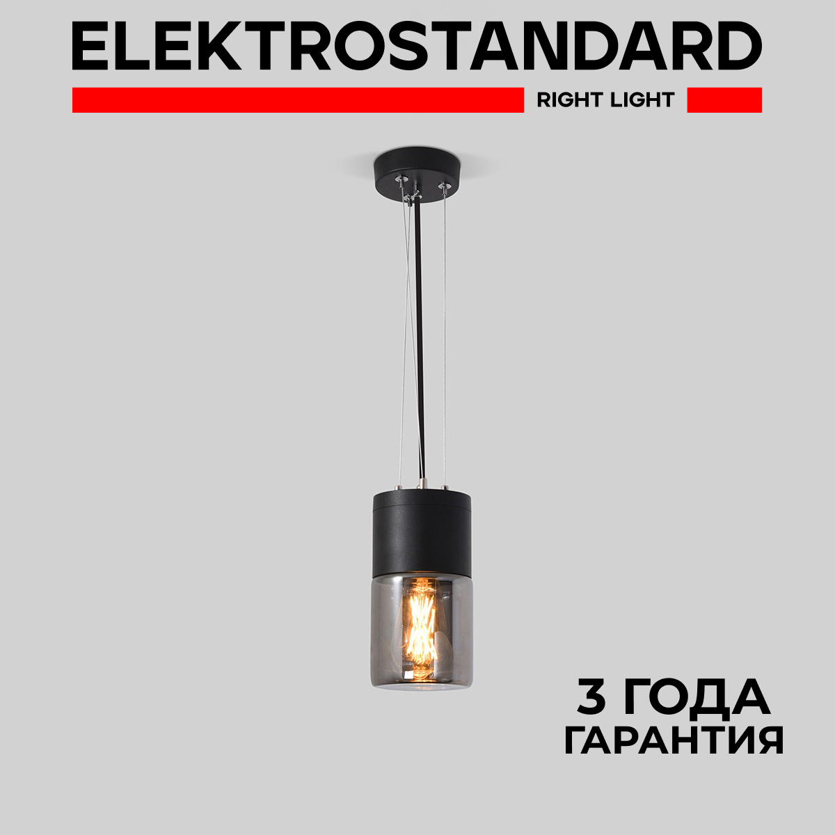 Изображение товара Уличный подвесной светильник Elektrostandard Roil IP54 черный дымчатый металлический
