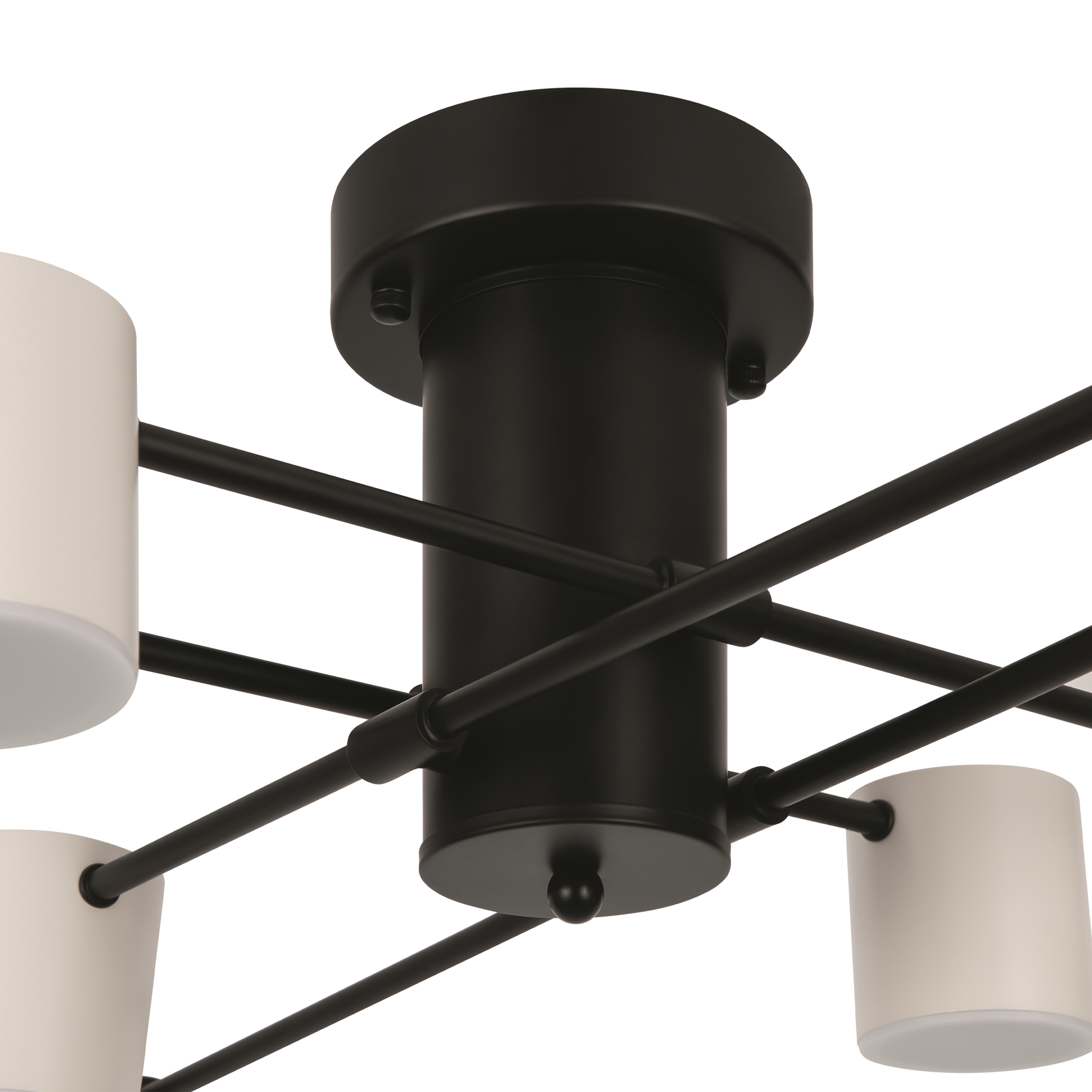 Изображение товара Люстра потолочная FREYA FR6048CL-L8B черная - стильный светильник