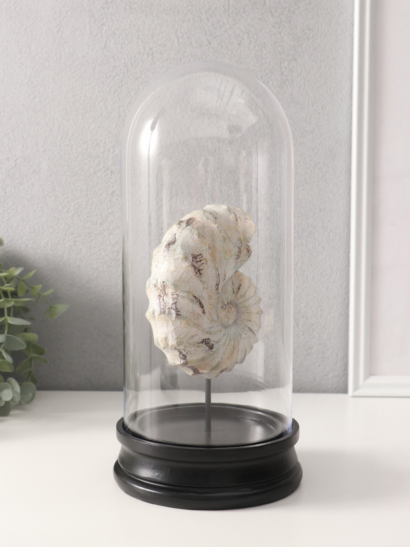 Изображение товара Сувенир полистоун в колбе Ракушка плоскоспиральная 14×14×30 см