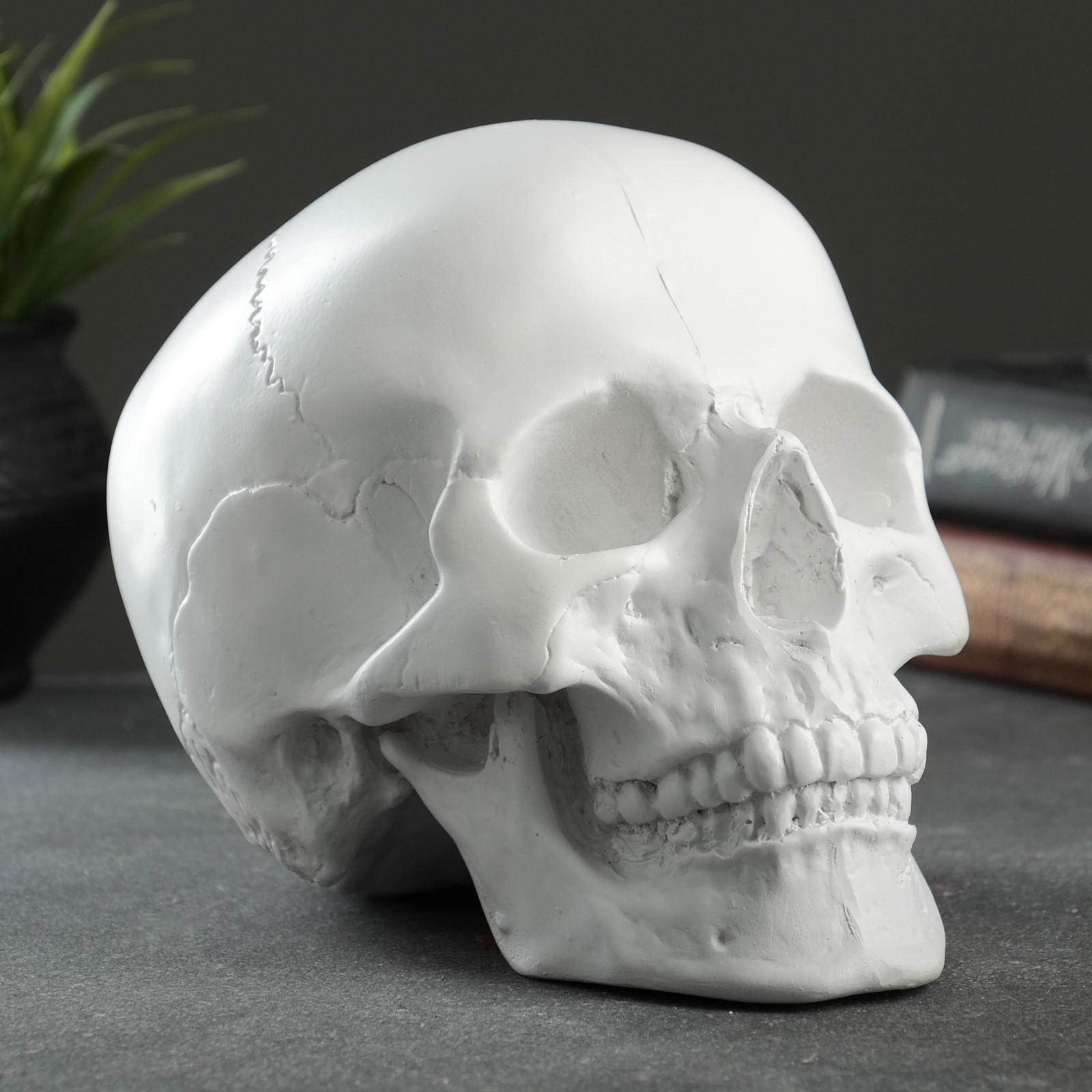 Изображение товара Копилка Череп белый 16х13х22см 7162760