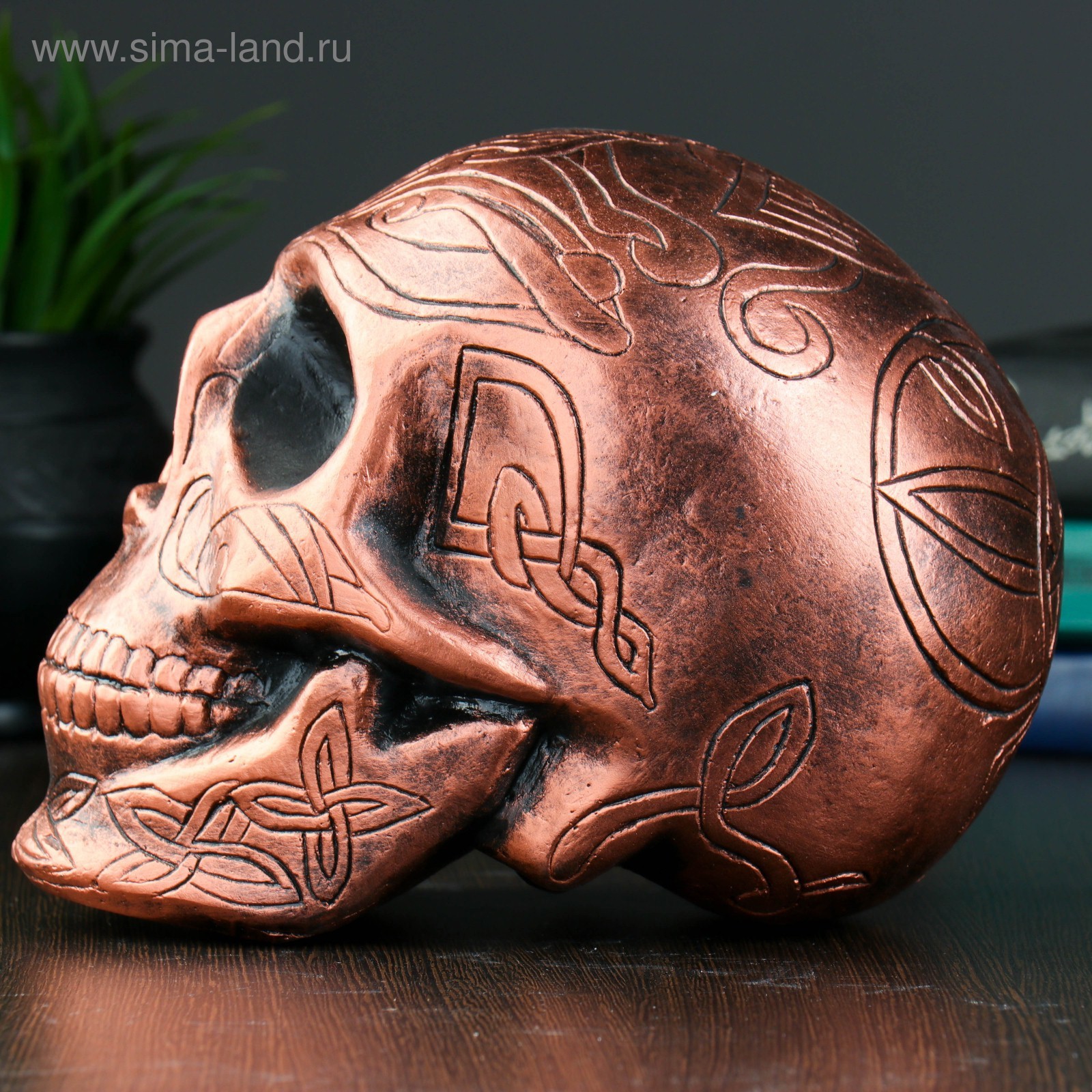 Изображение товара Копилка Череп бронза 17×13 см