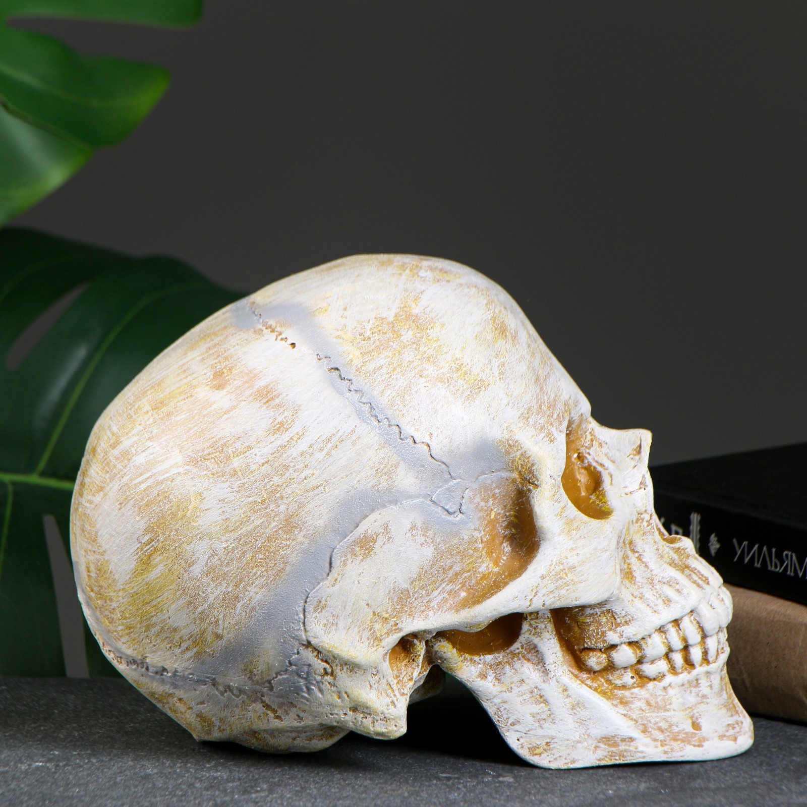 Изображение товара Копилка Череп кость 16х13х22 см