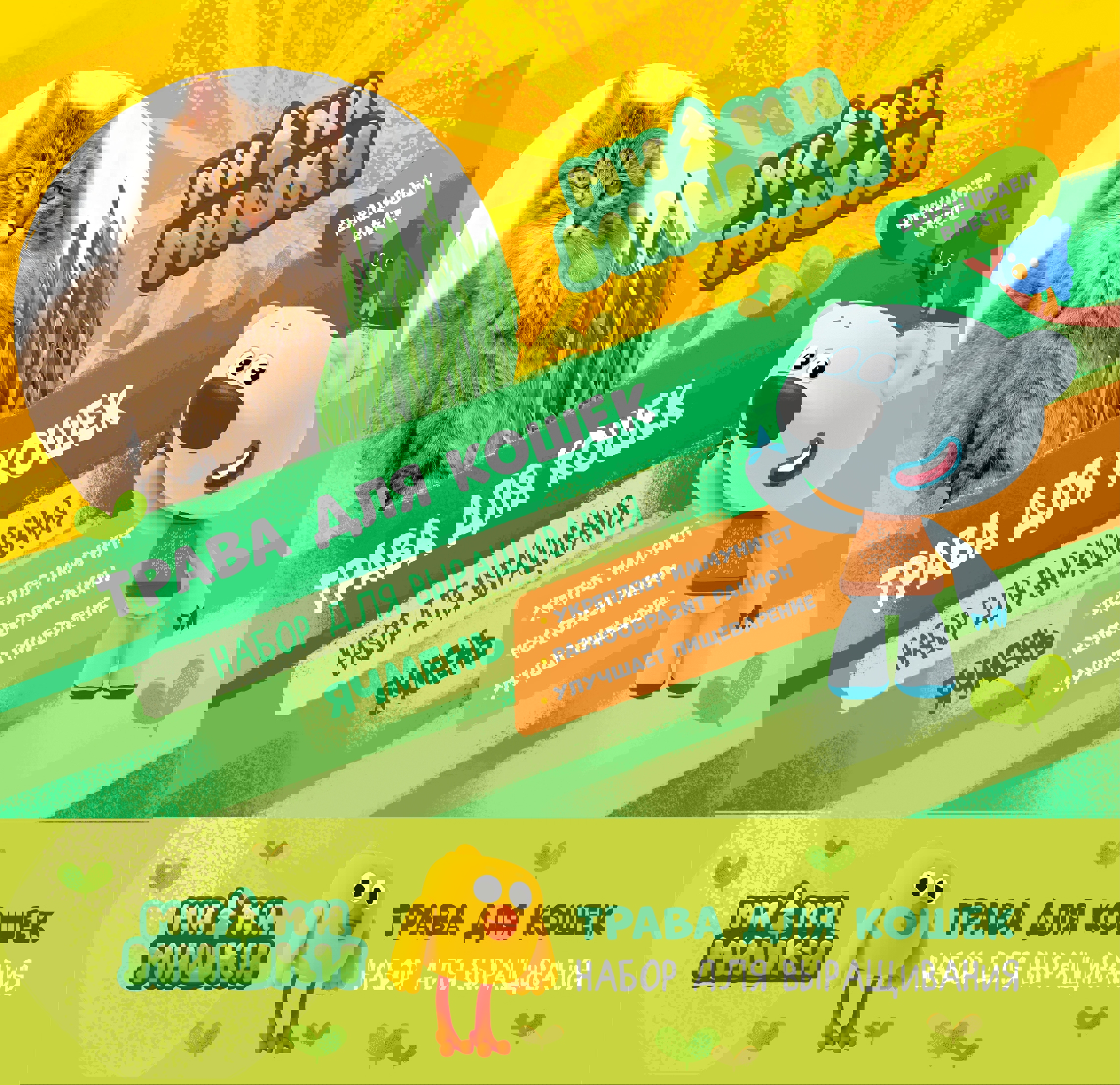 Изображение товара Набор для выращивания Ми-ми-мишки Трава для кошек ячмень