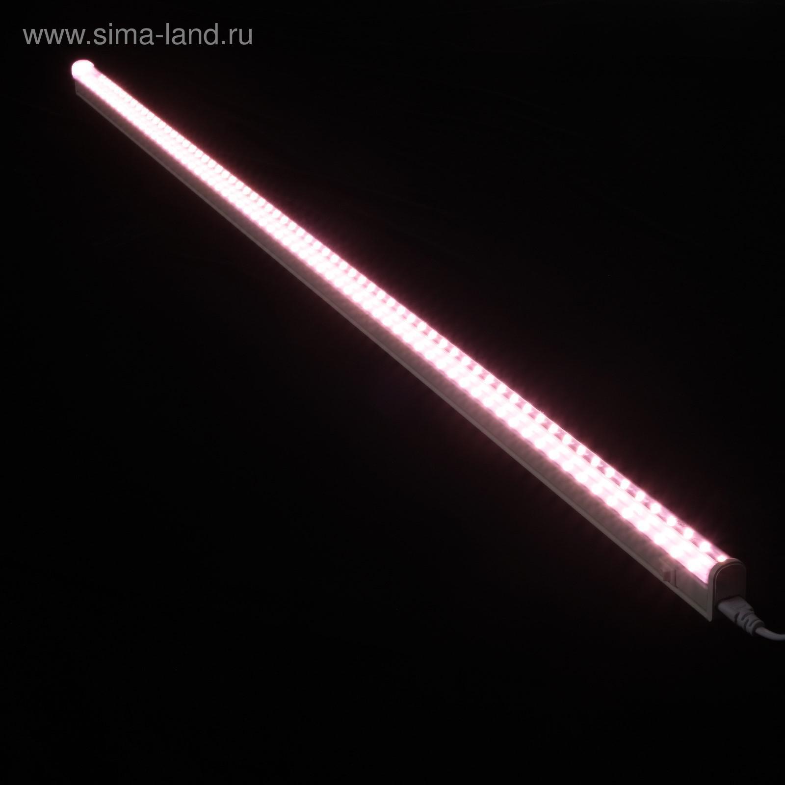 Изображение товара Фитосветильник линейный Uniel 6074425 115 см 35 Вт красно-синий спектр для цветущих растений розовый свет Изображение товара Фитосветильник линейный Uniel 6074425 115 см 35 Вт красно-синий спектр для цветущих растений розовый свет
