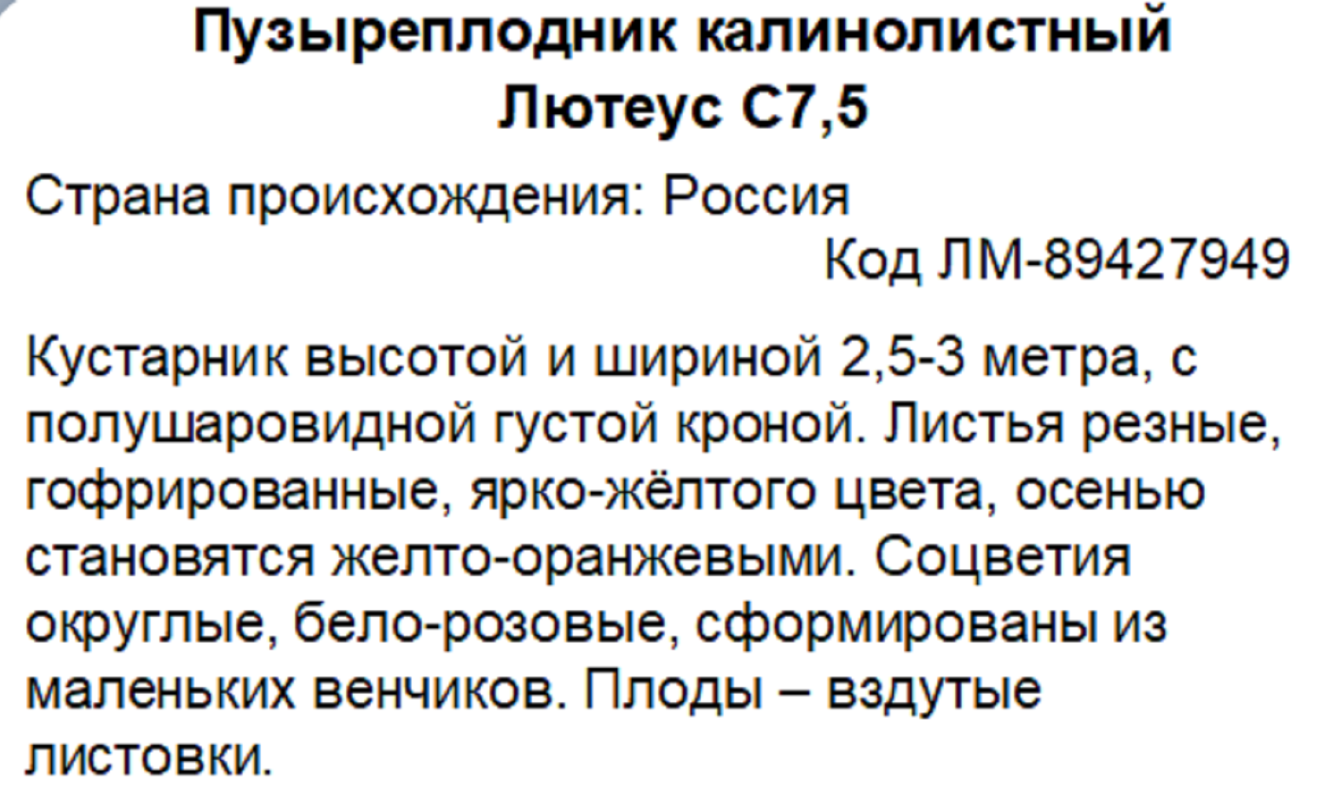 Превью изображения товара