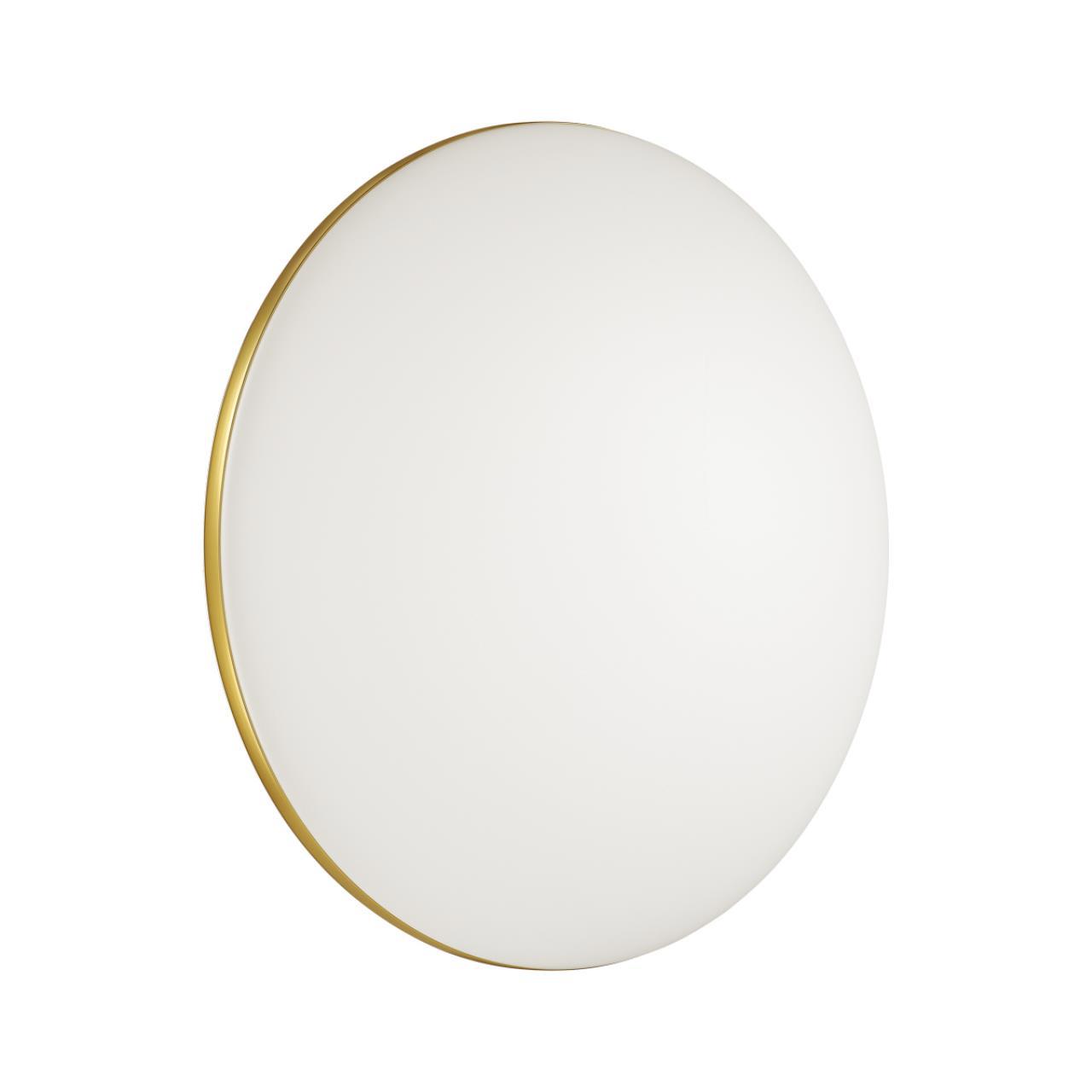 Изображение товара Светильник настенно-потолочный Sonex Lassa 3043-dl с пультом управление IP43